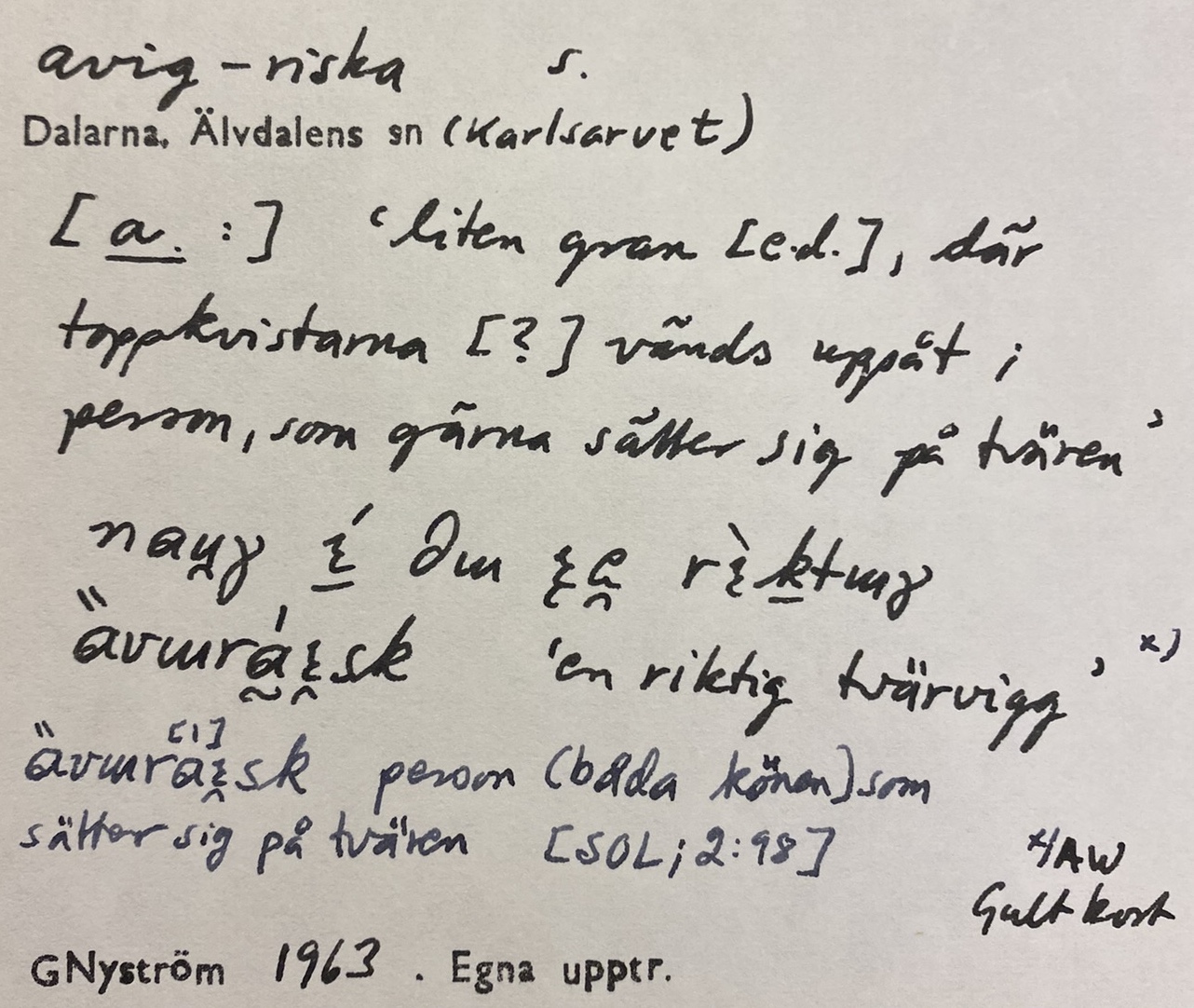 avig-riska_4