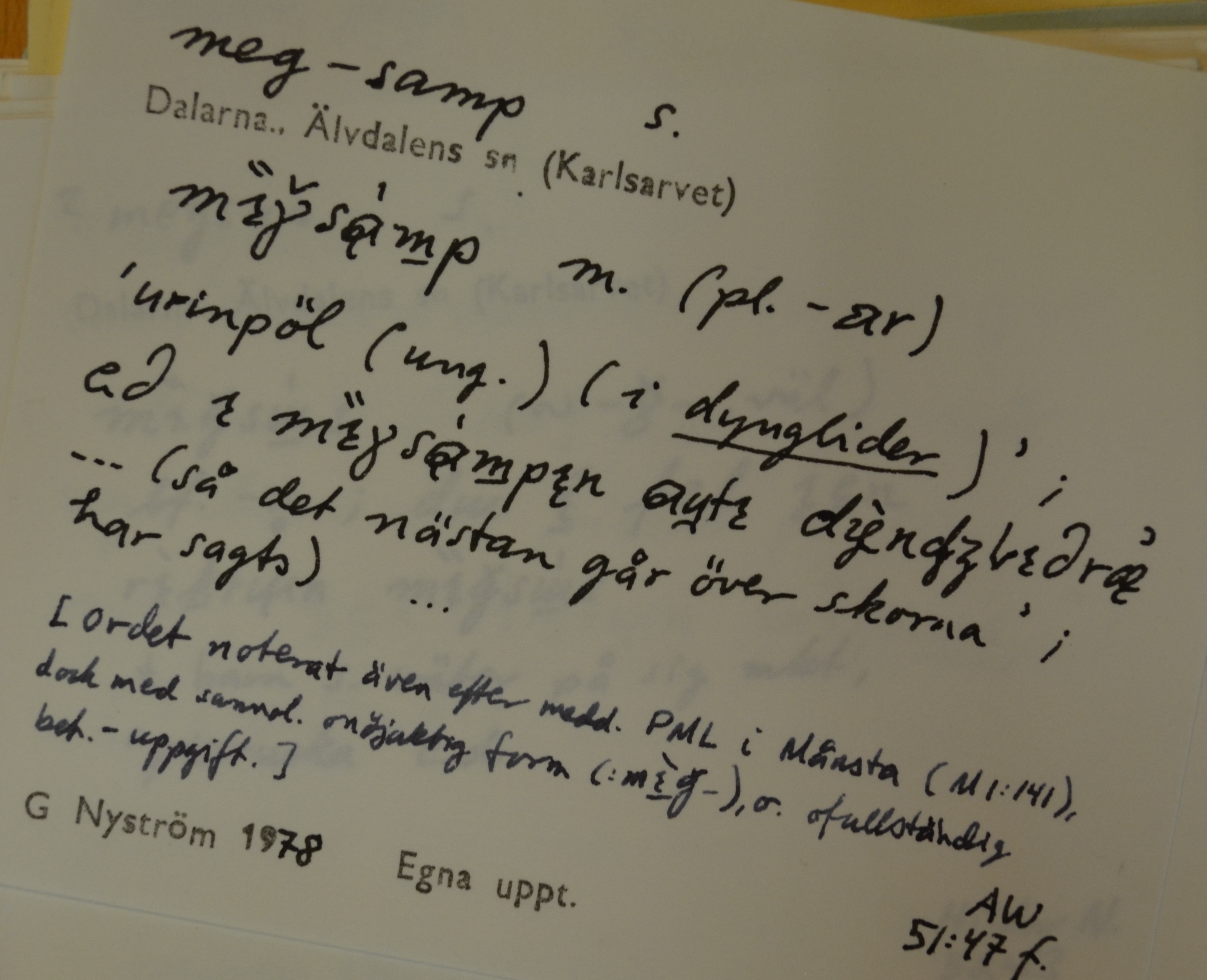 meg-samp_1