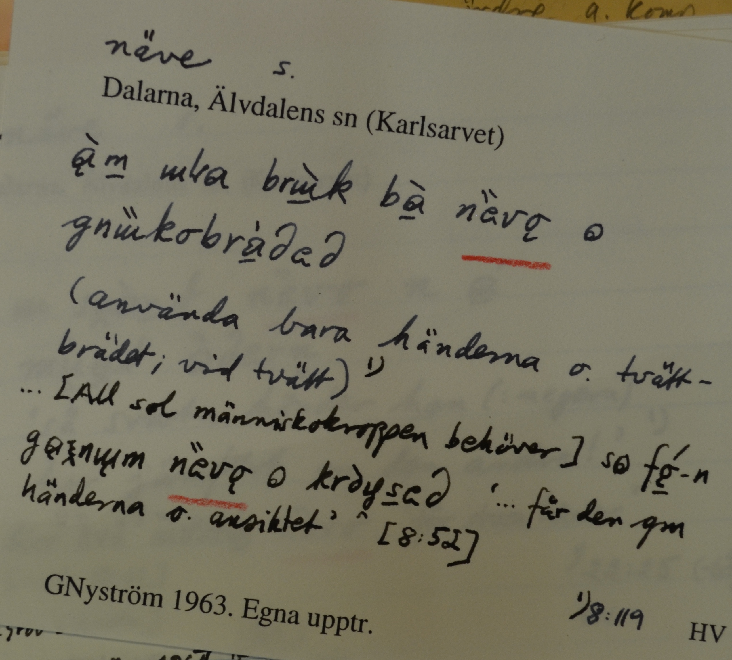 näve_00004