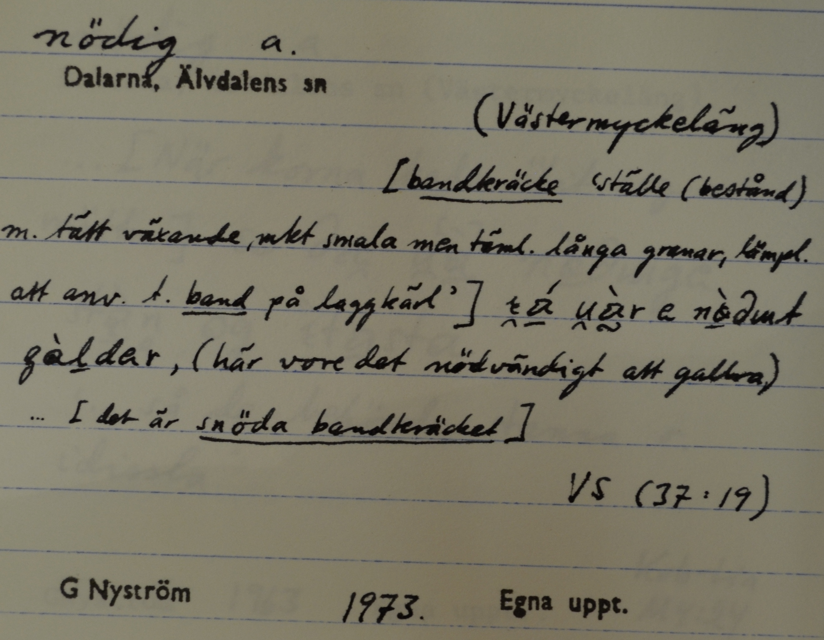 nödig_16