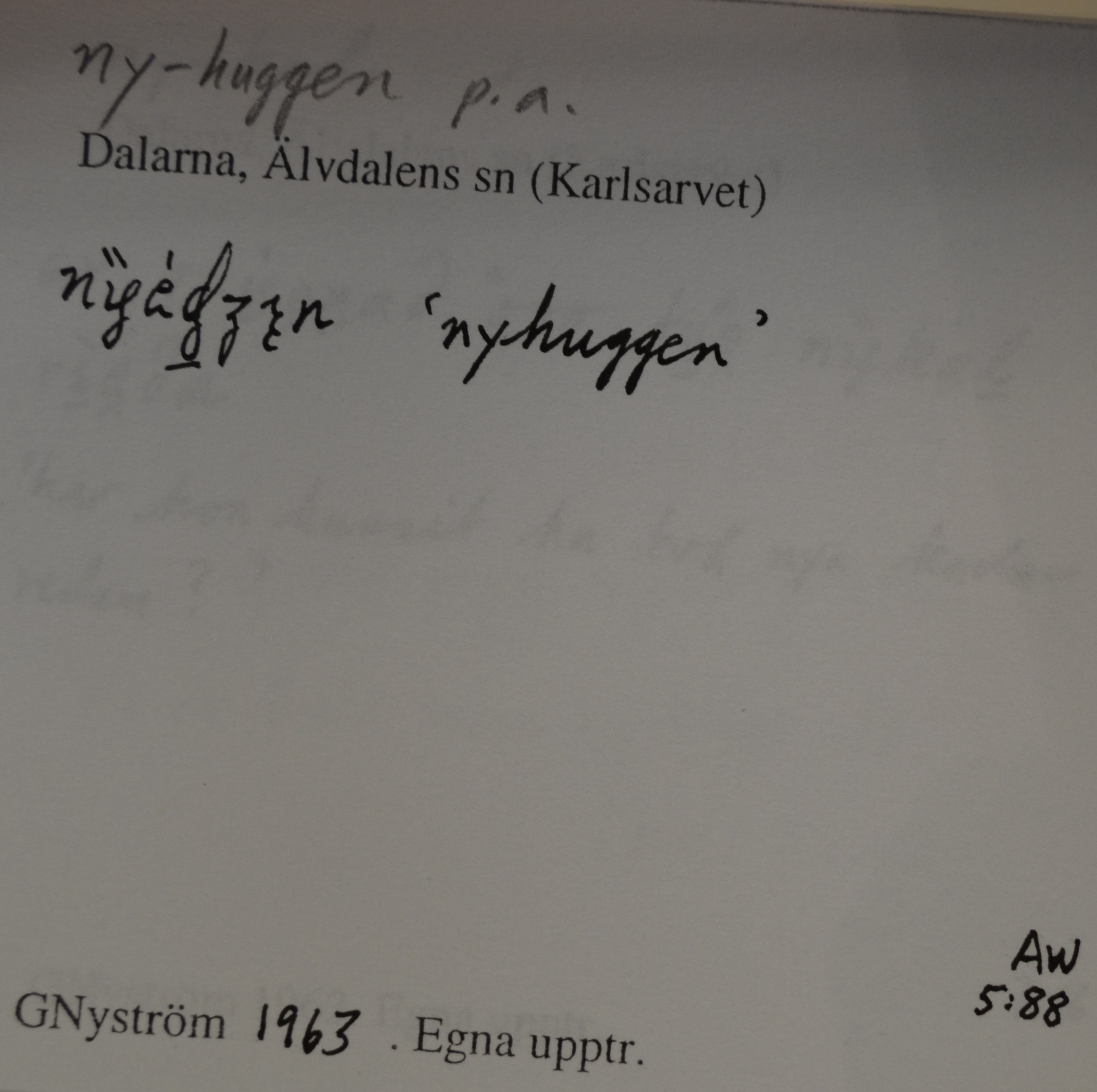 ny-huggen_1