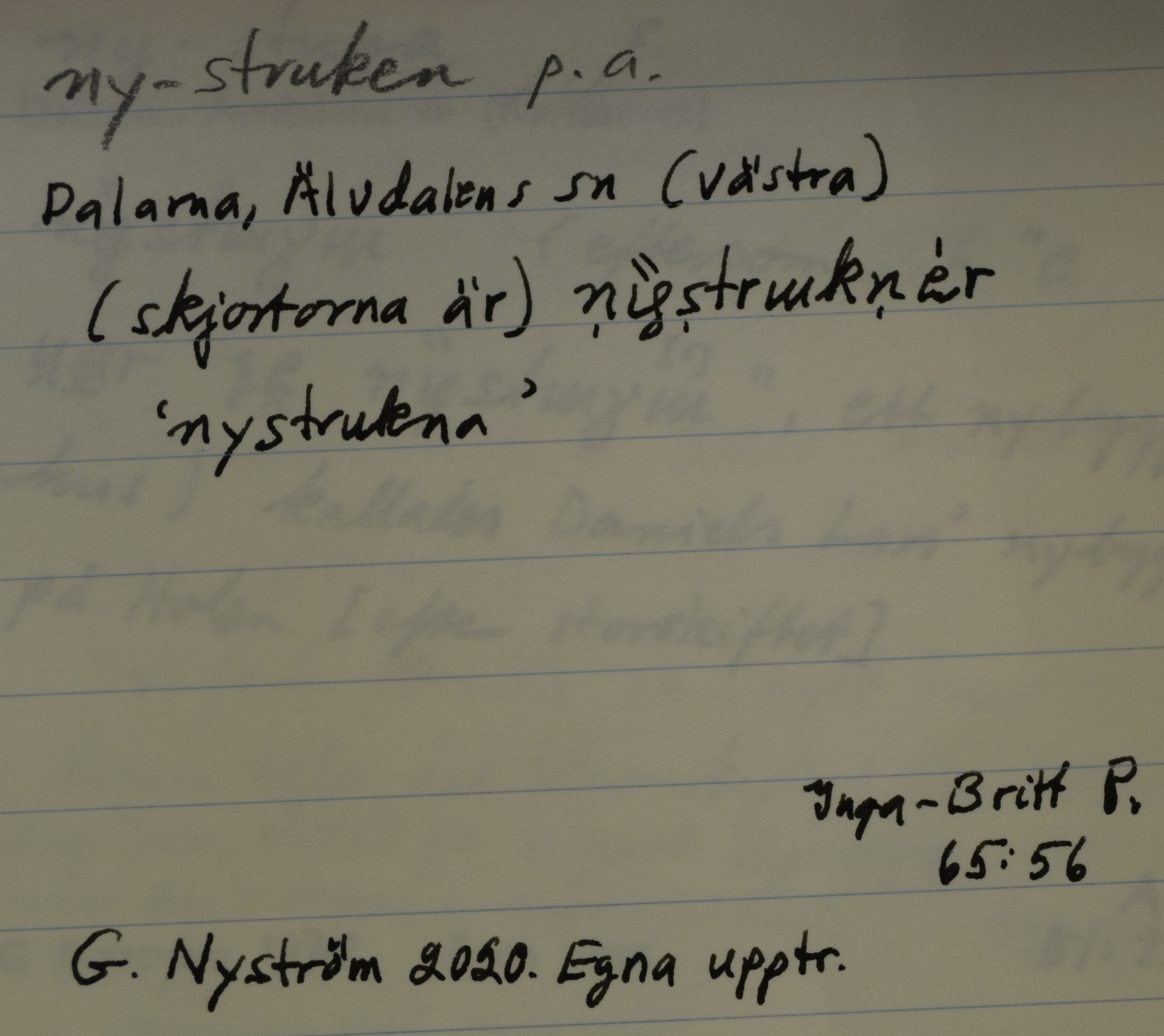 ny-struken_1
