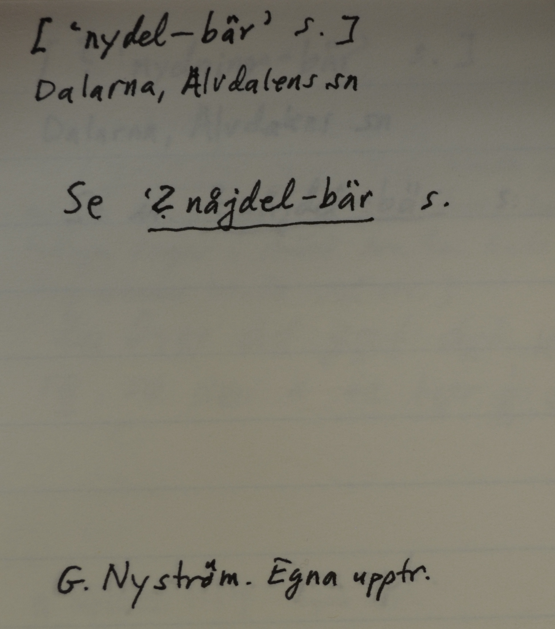 nydel-bär_1