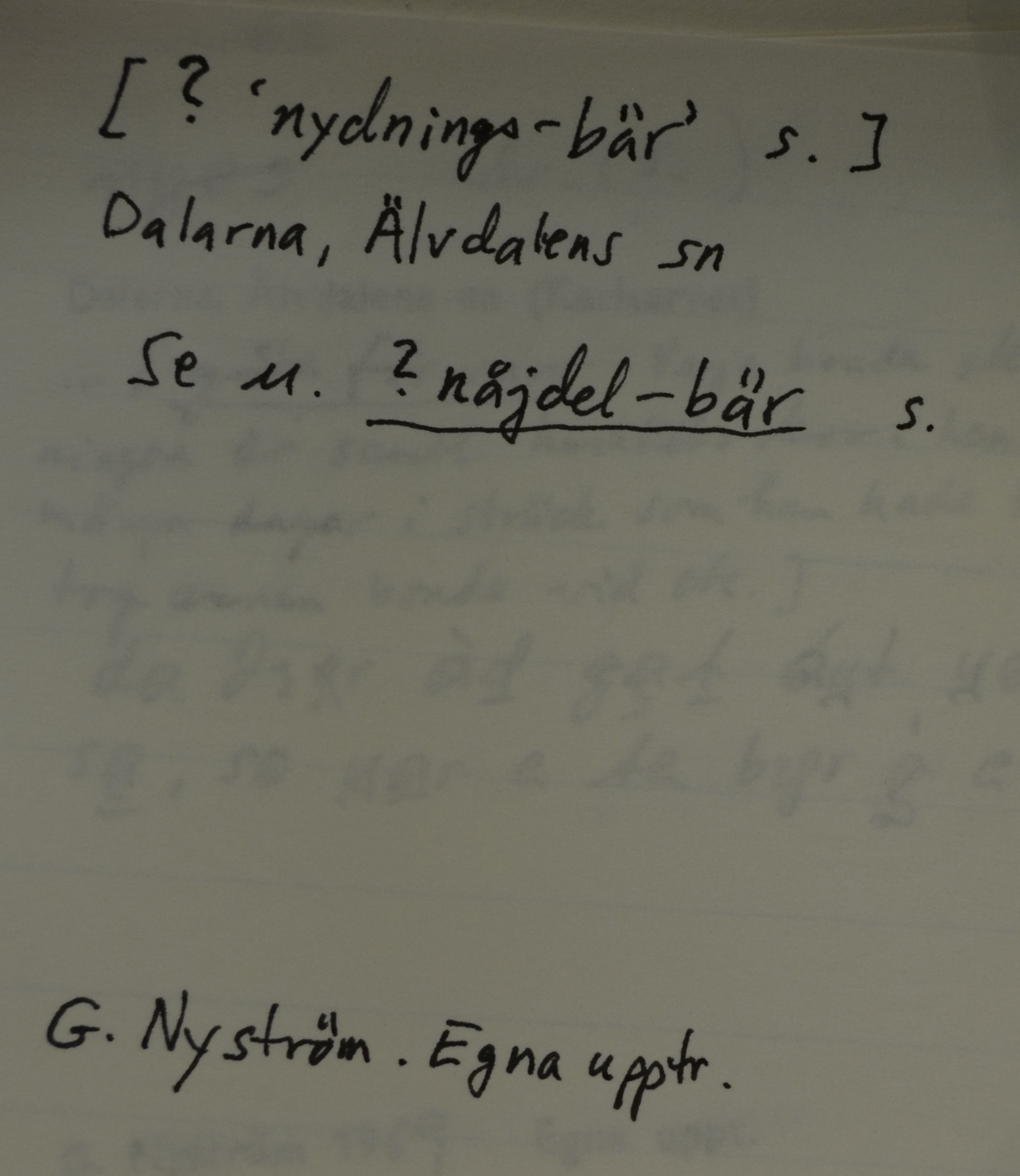 nydnings-bär_1