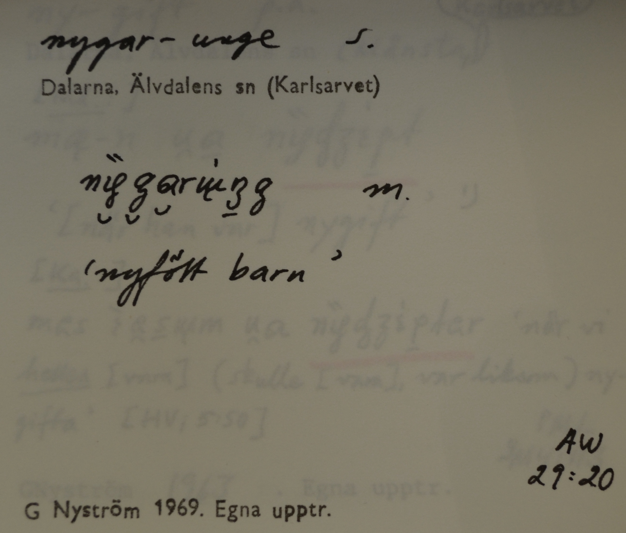 nygar-unge_1