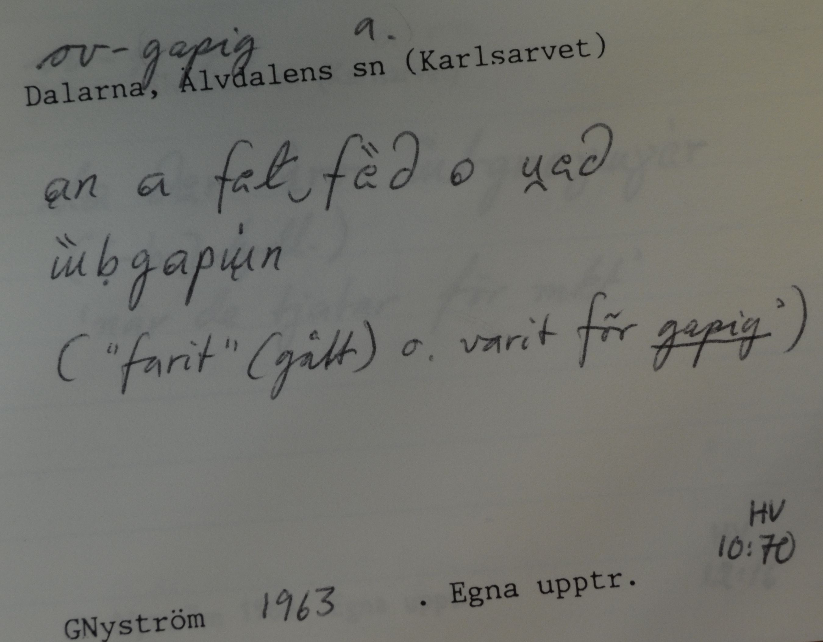 ov-gapig_1
