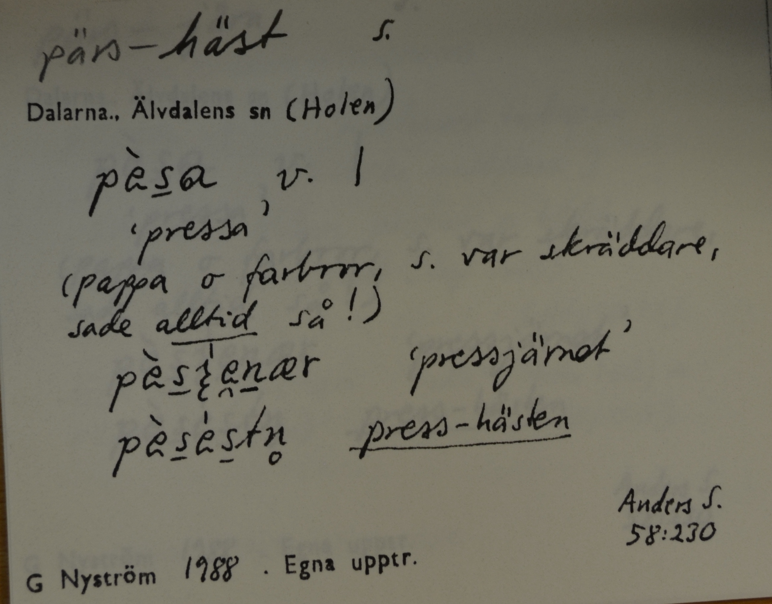 pärs-häst_1