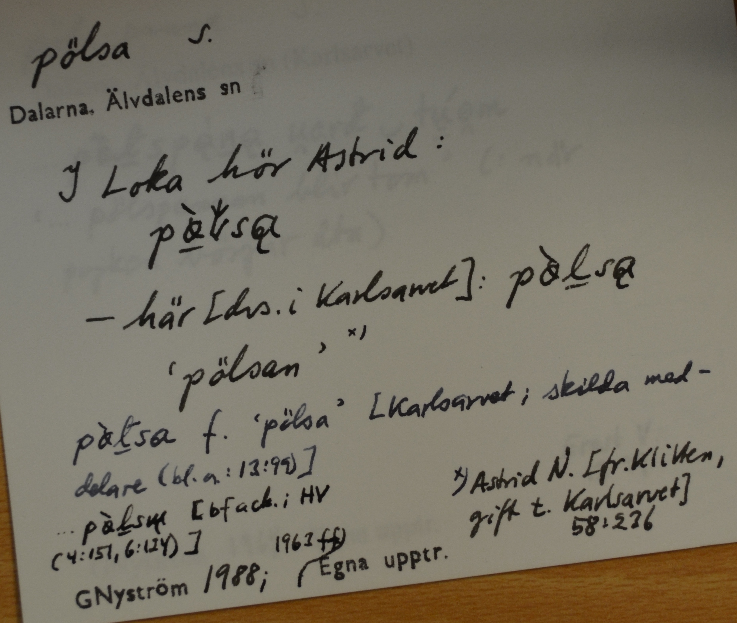 pölsa_1