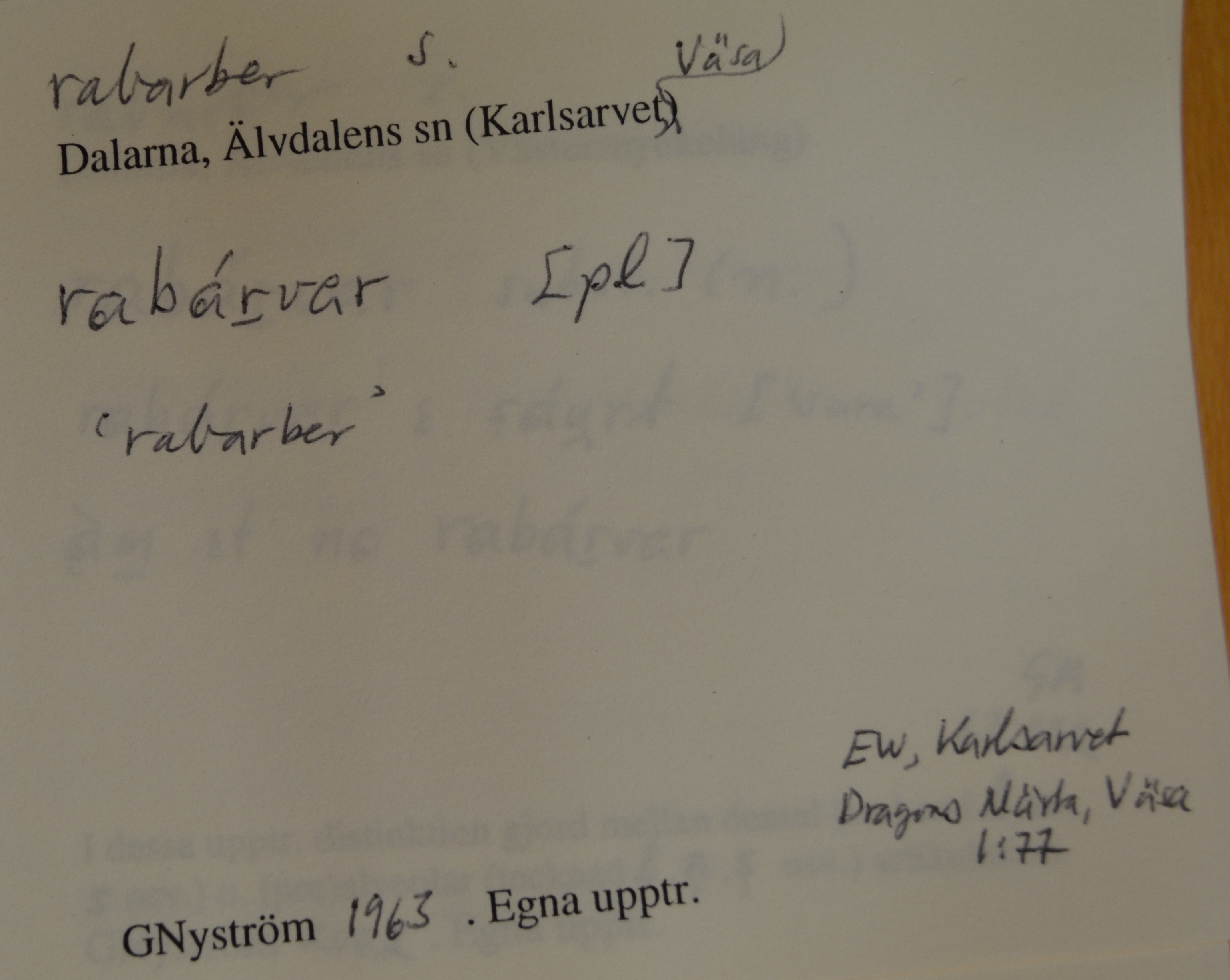 rabarber_1