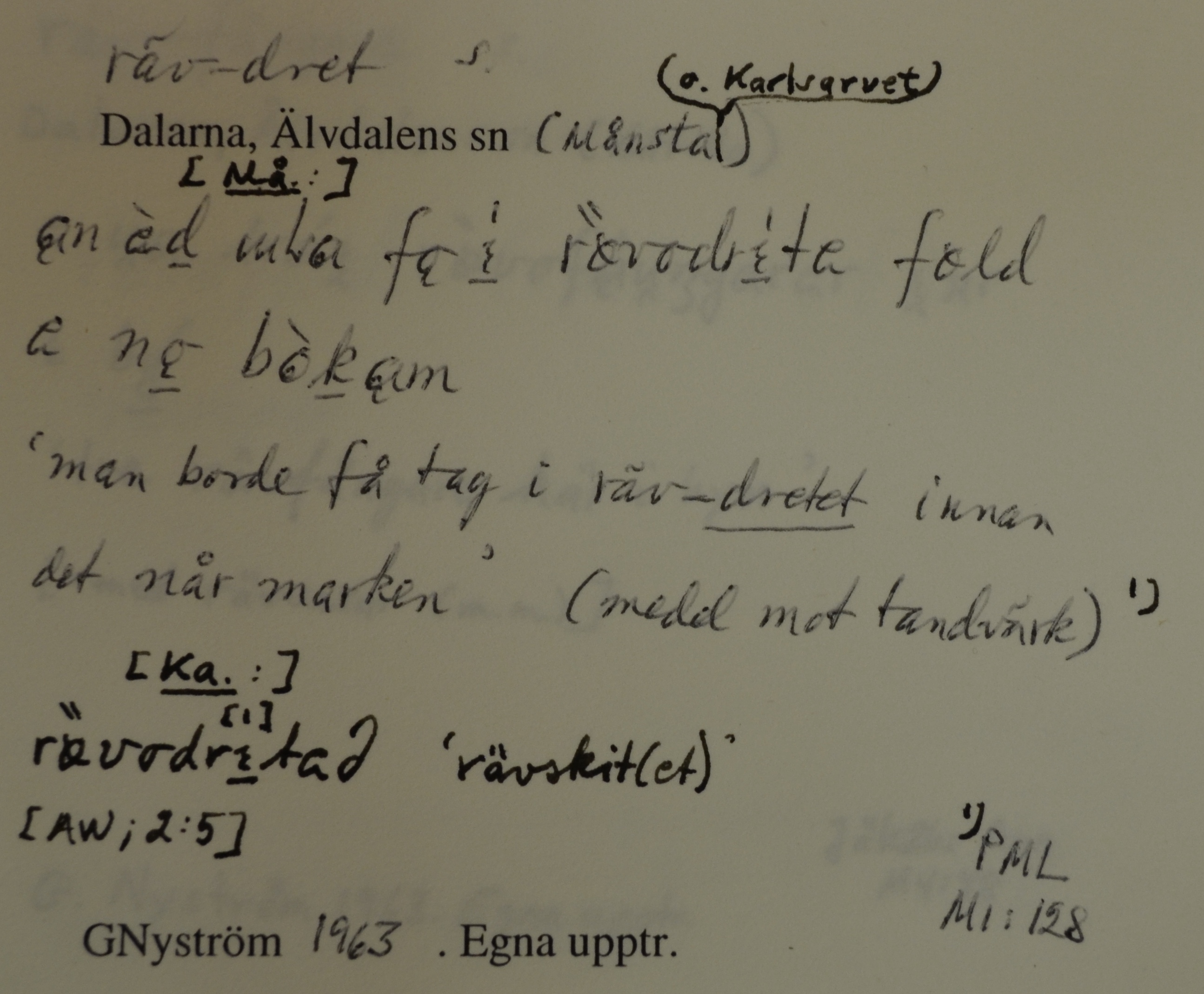 räv-dret_1