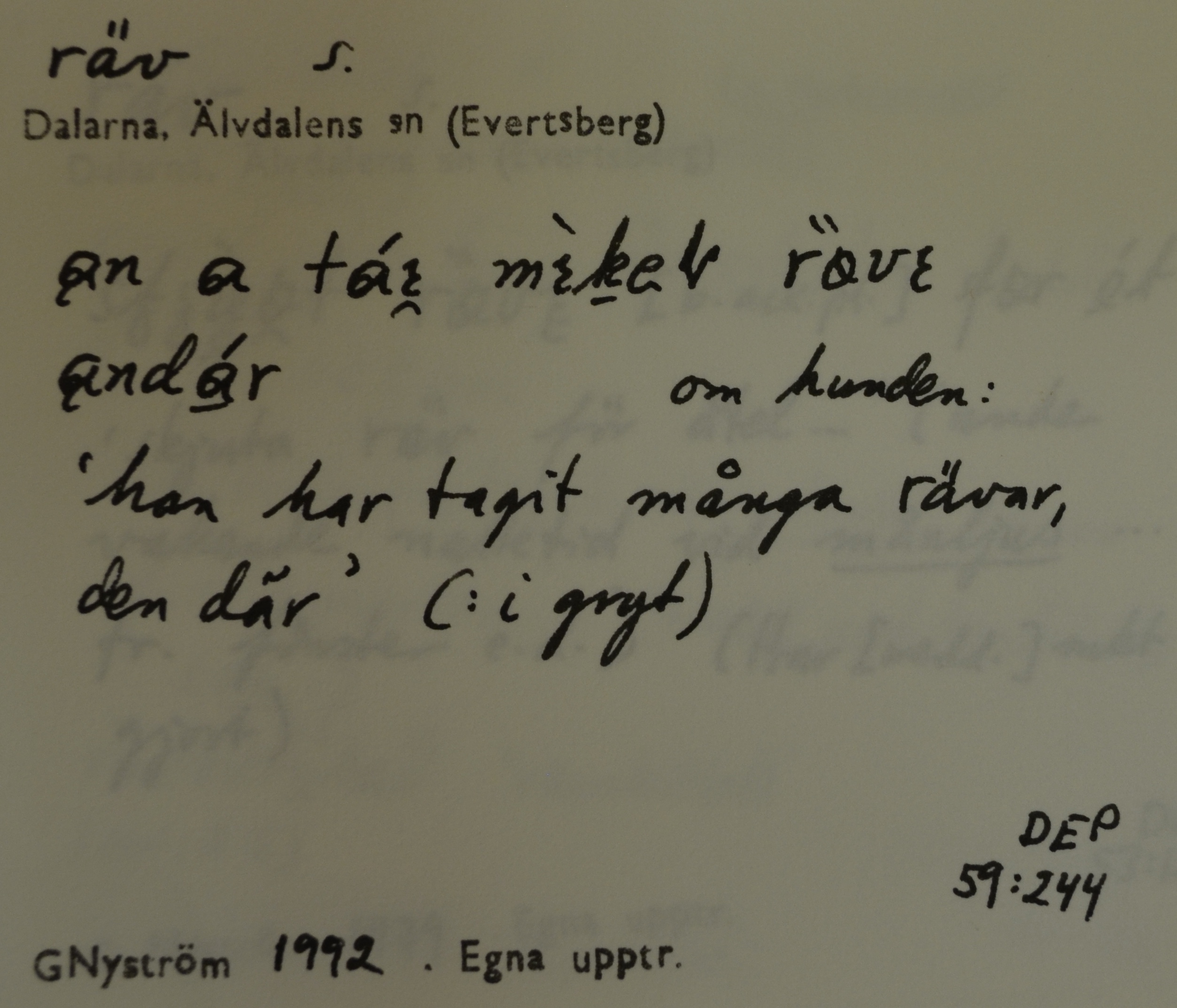 räv_2