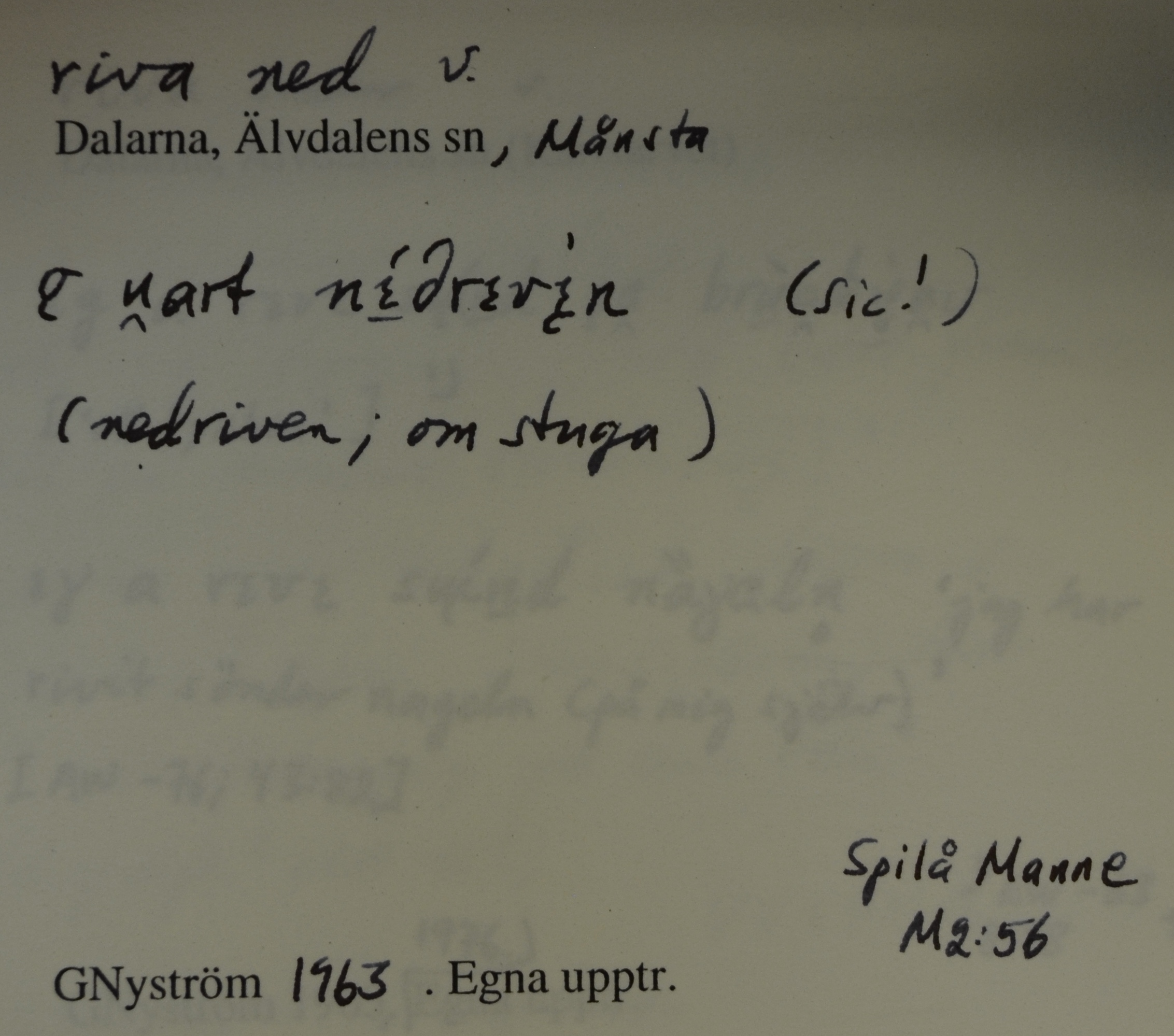 riva ned_1