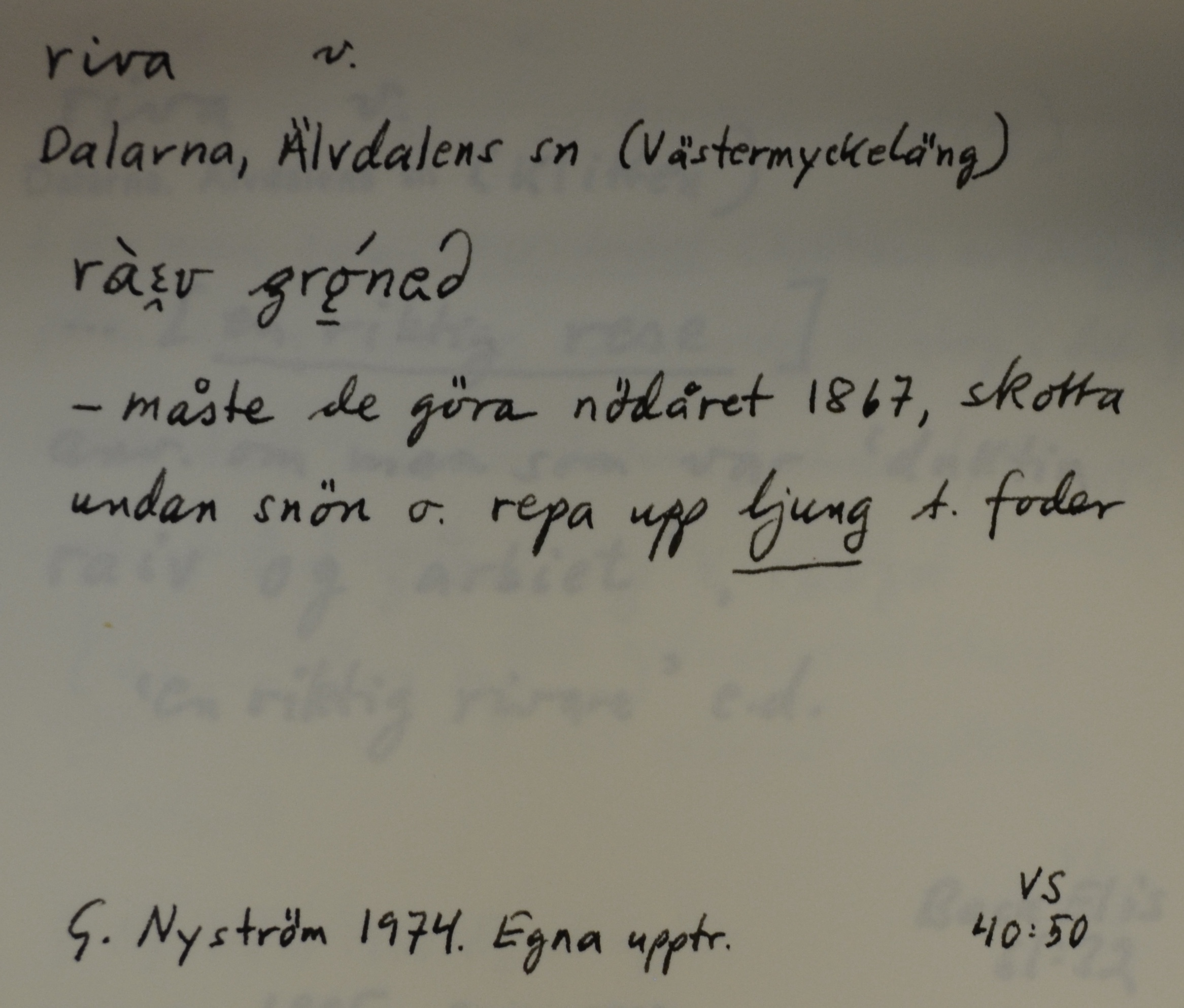 riva_7