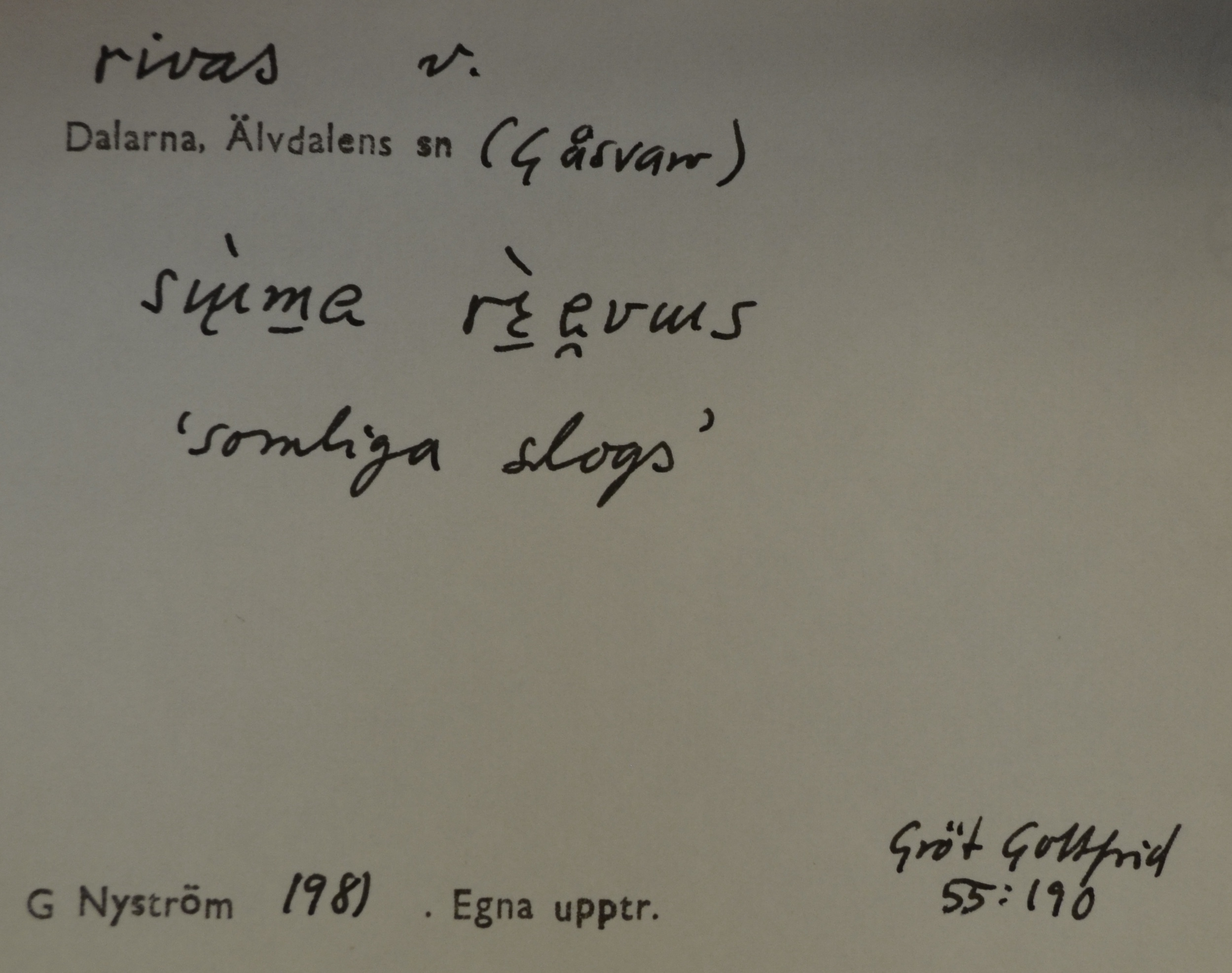 rivas_10