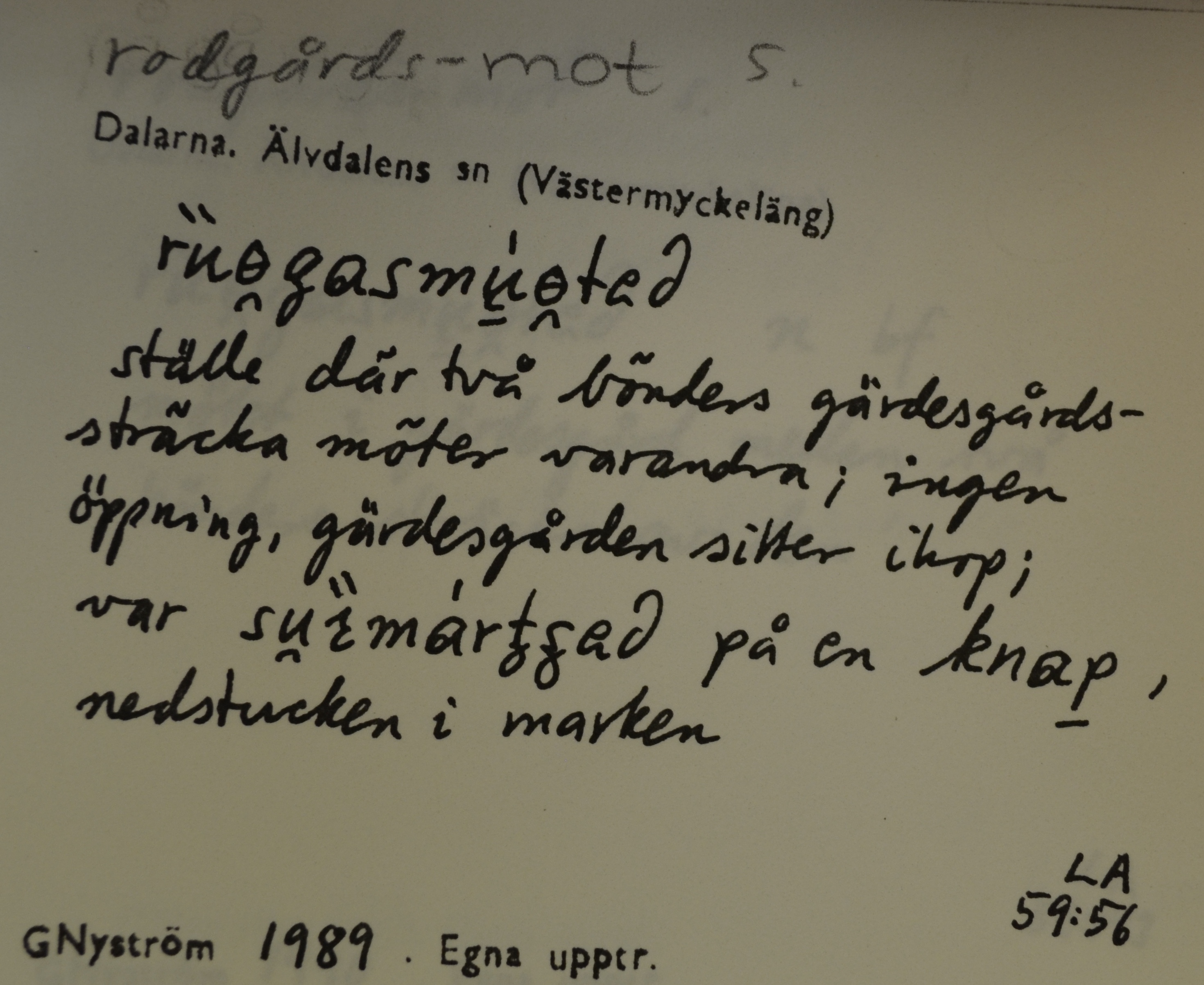 rodgårds-mot_3