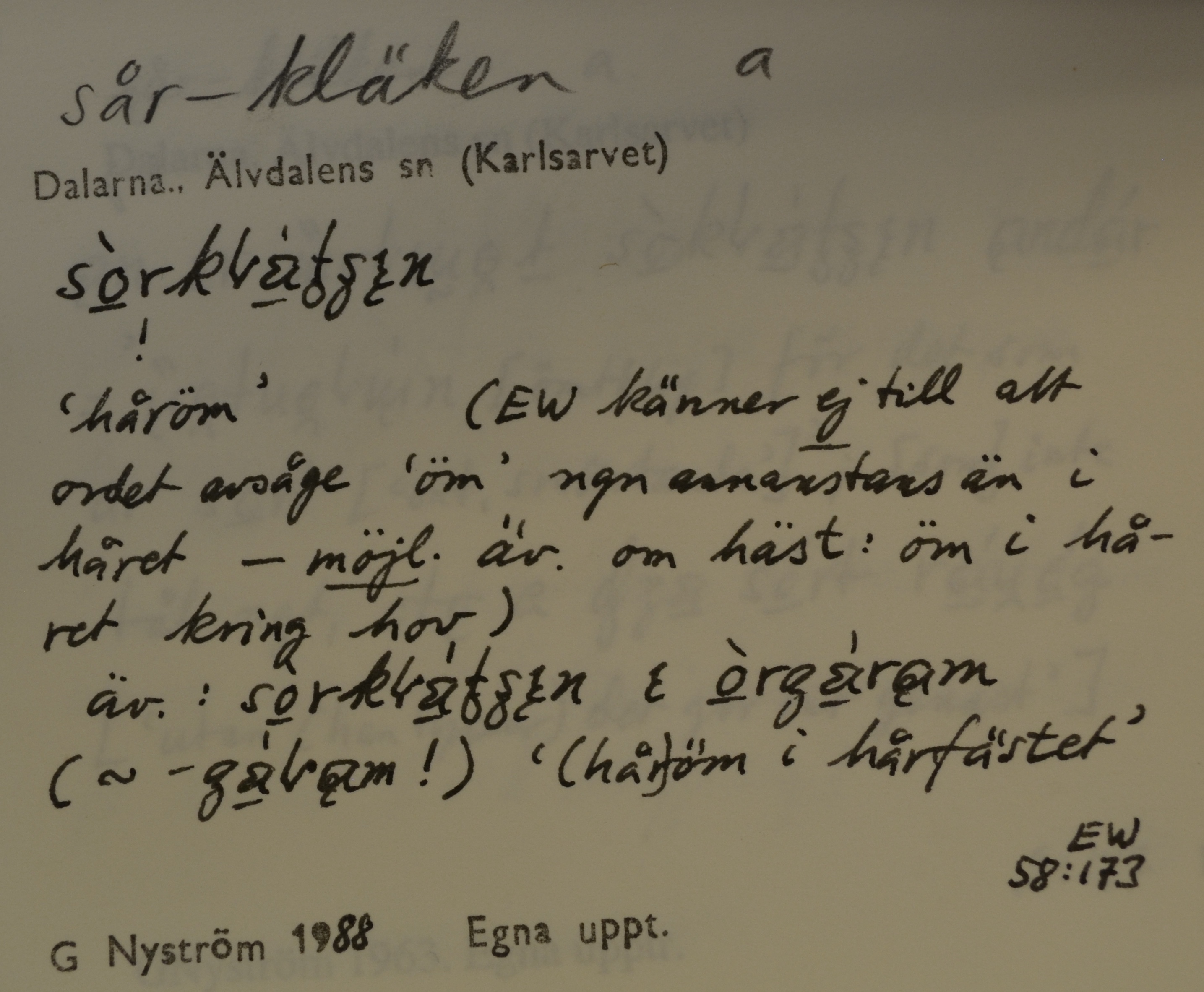 sår-kläken_4
