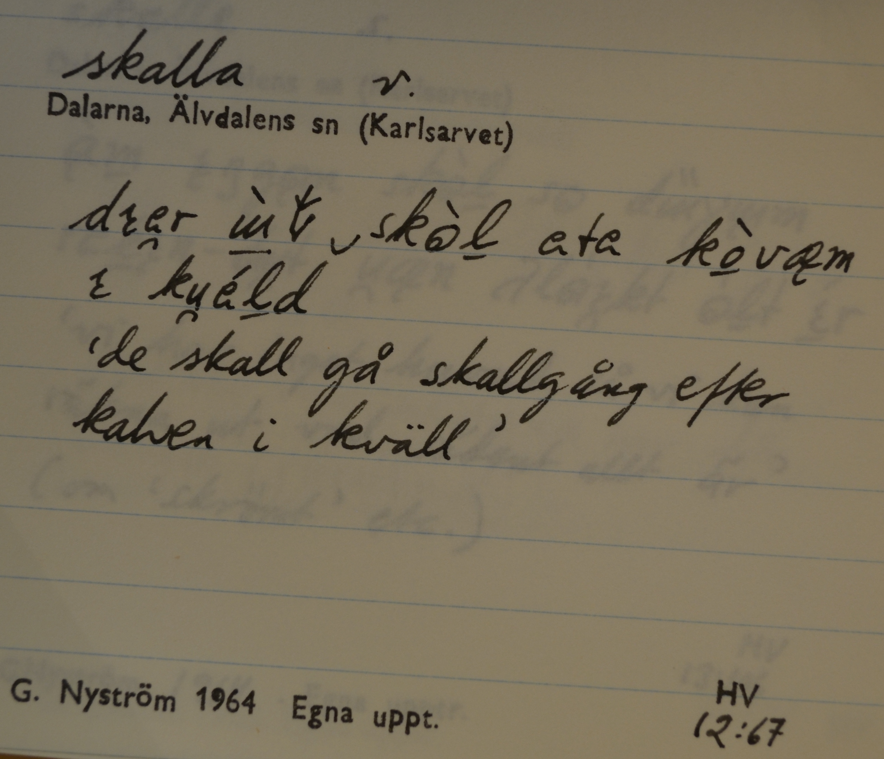 skalle_00004