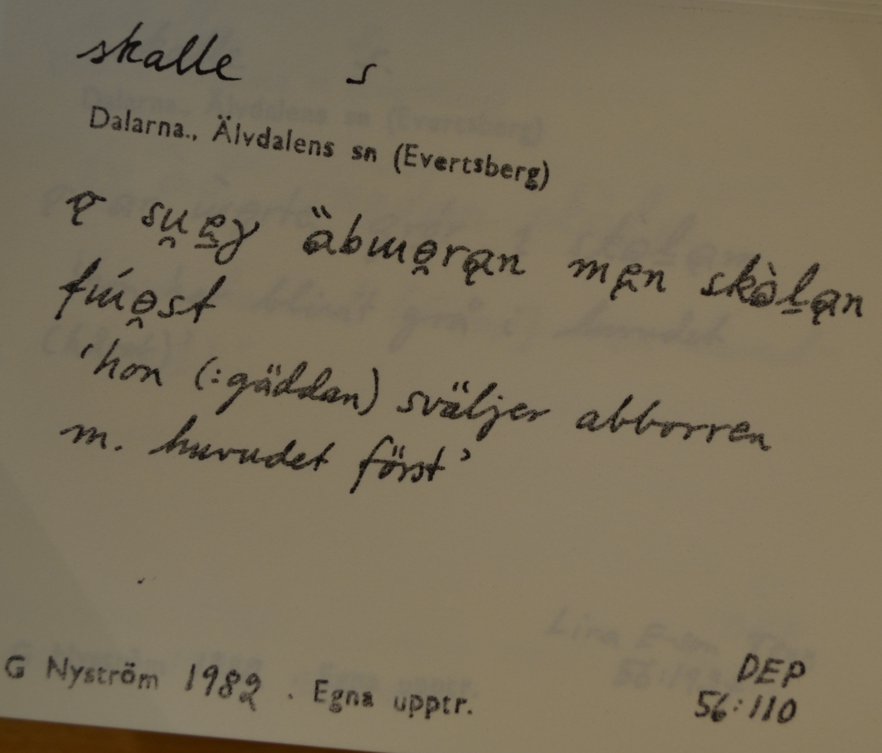skalle_00005