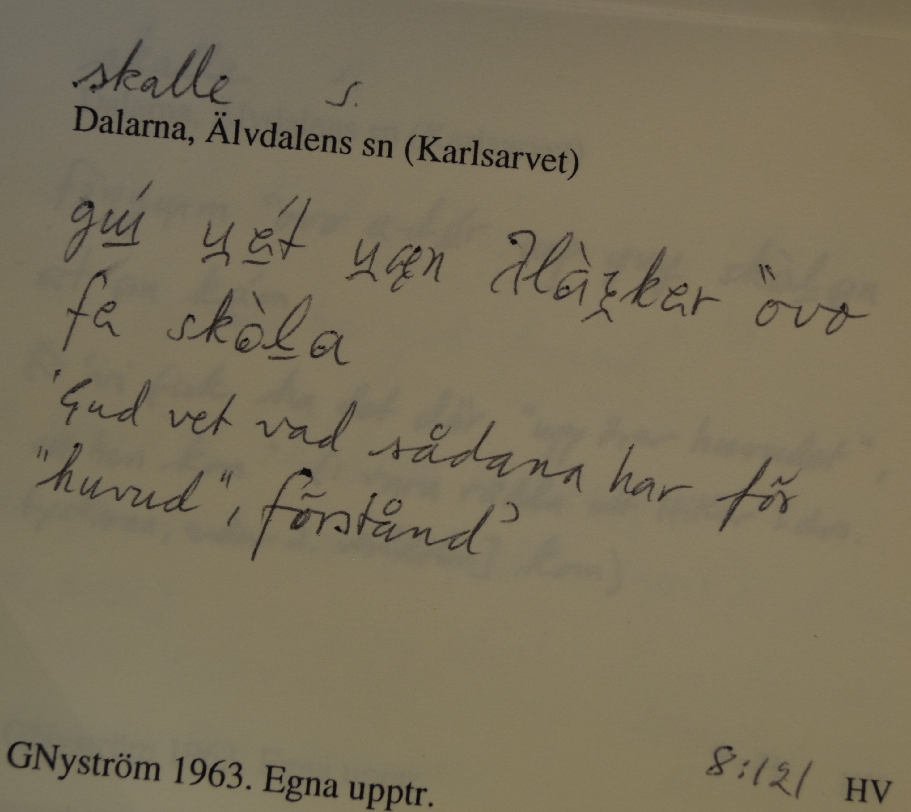 skalle_00008