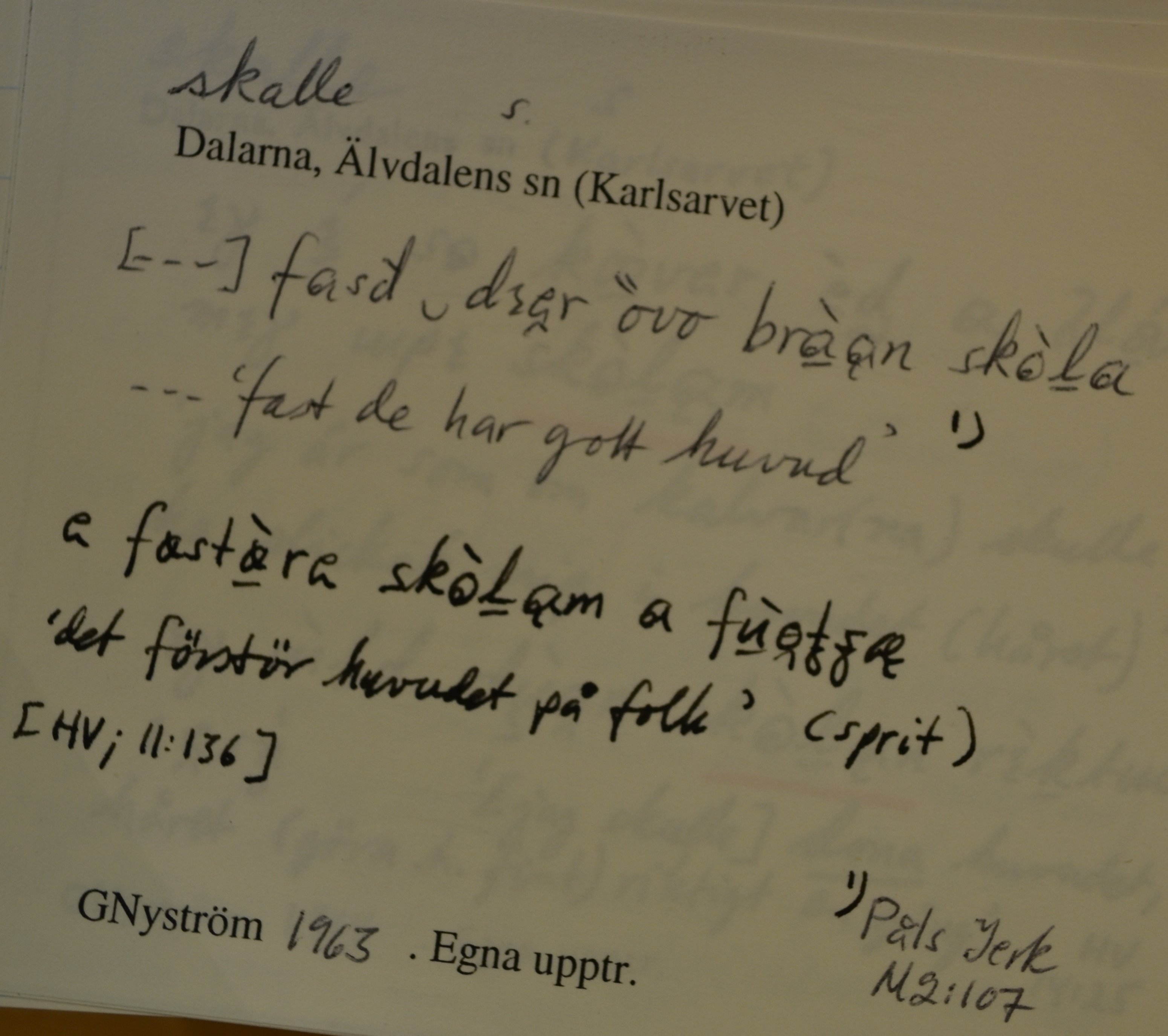 skalle_00010