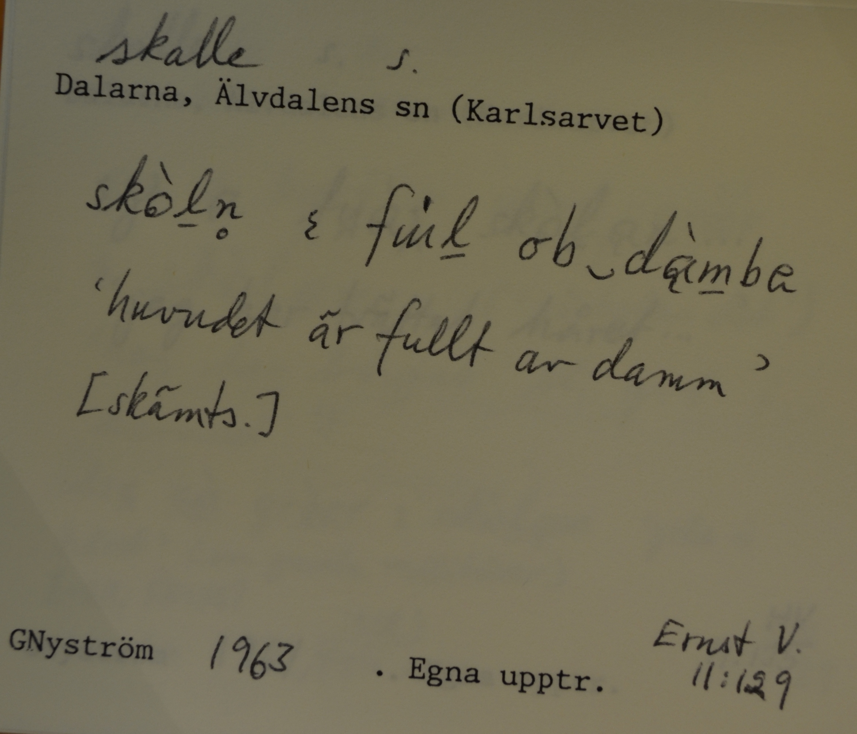 skalle_00013