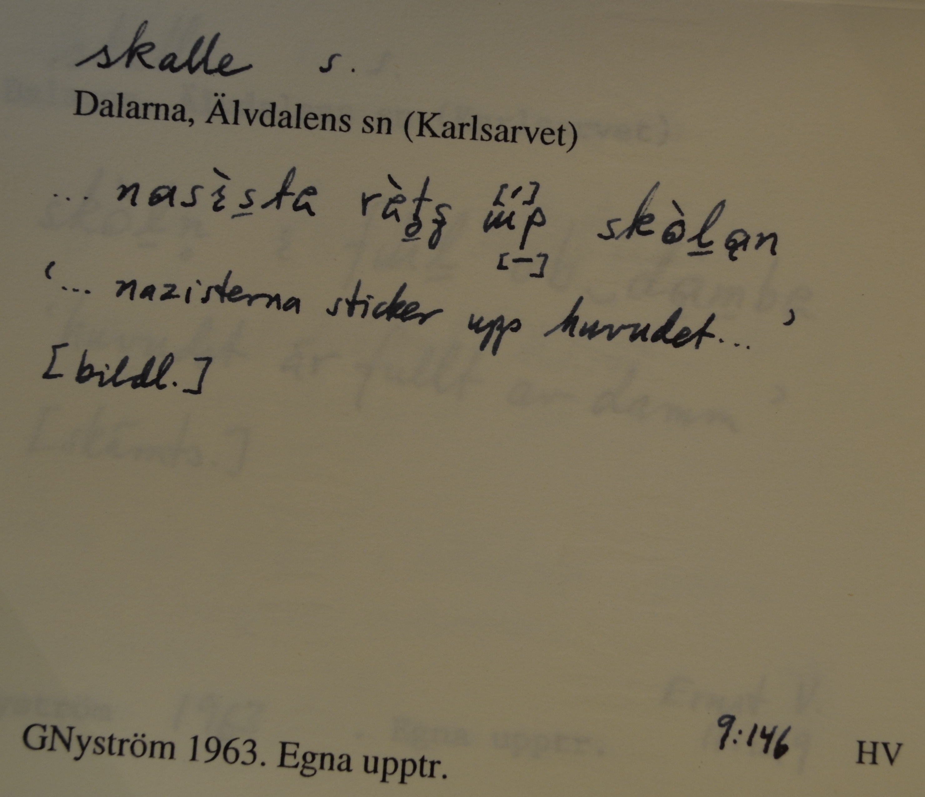 skalle_00015