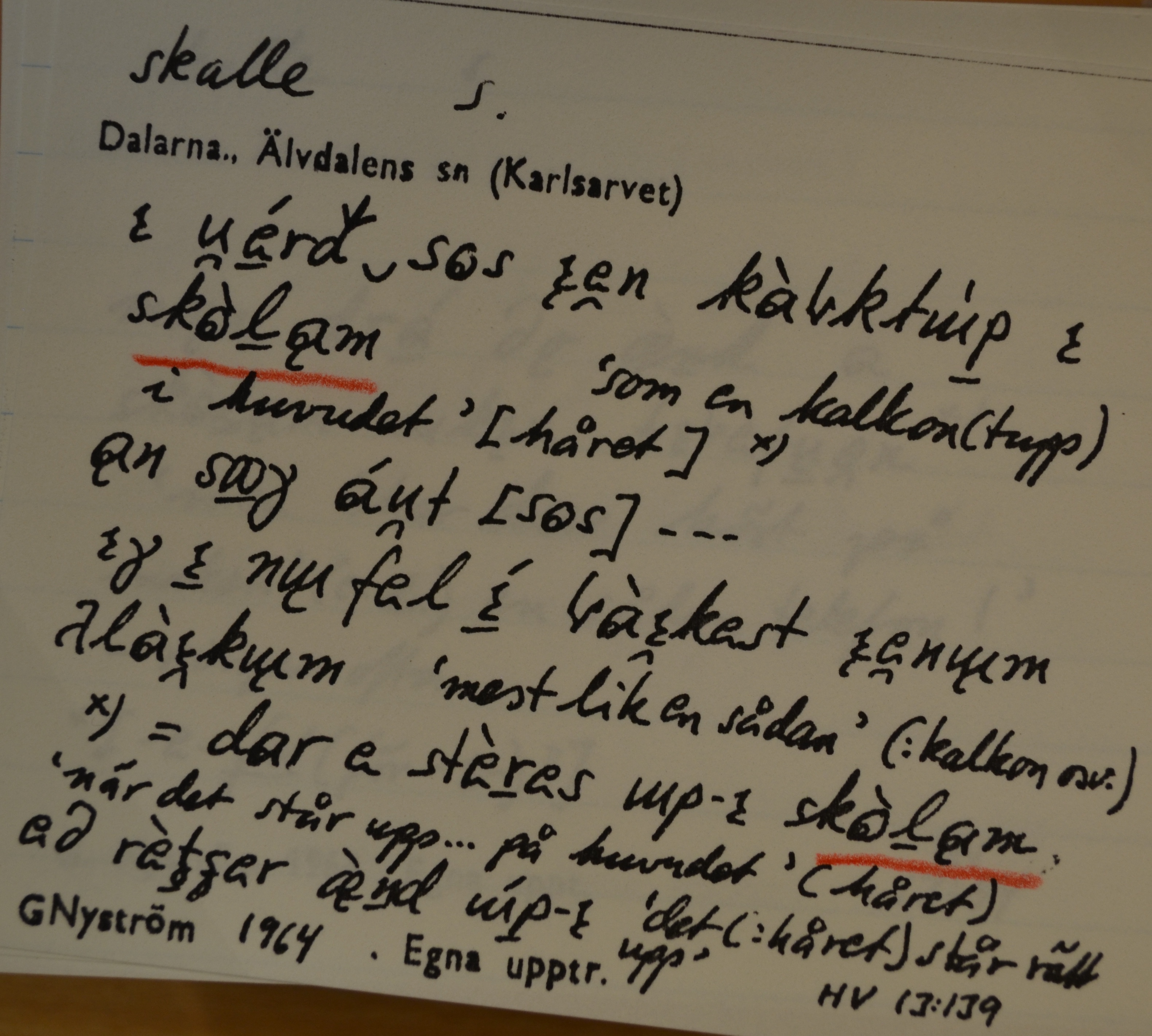 skalle_00016