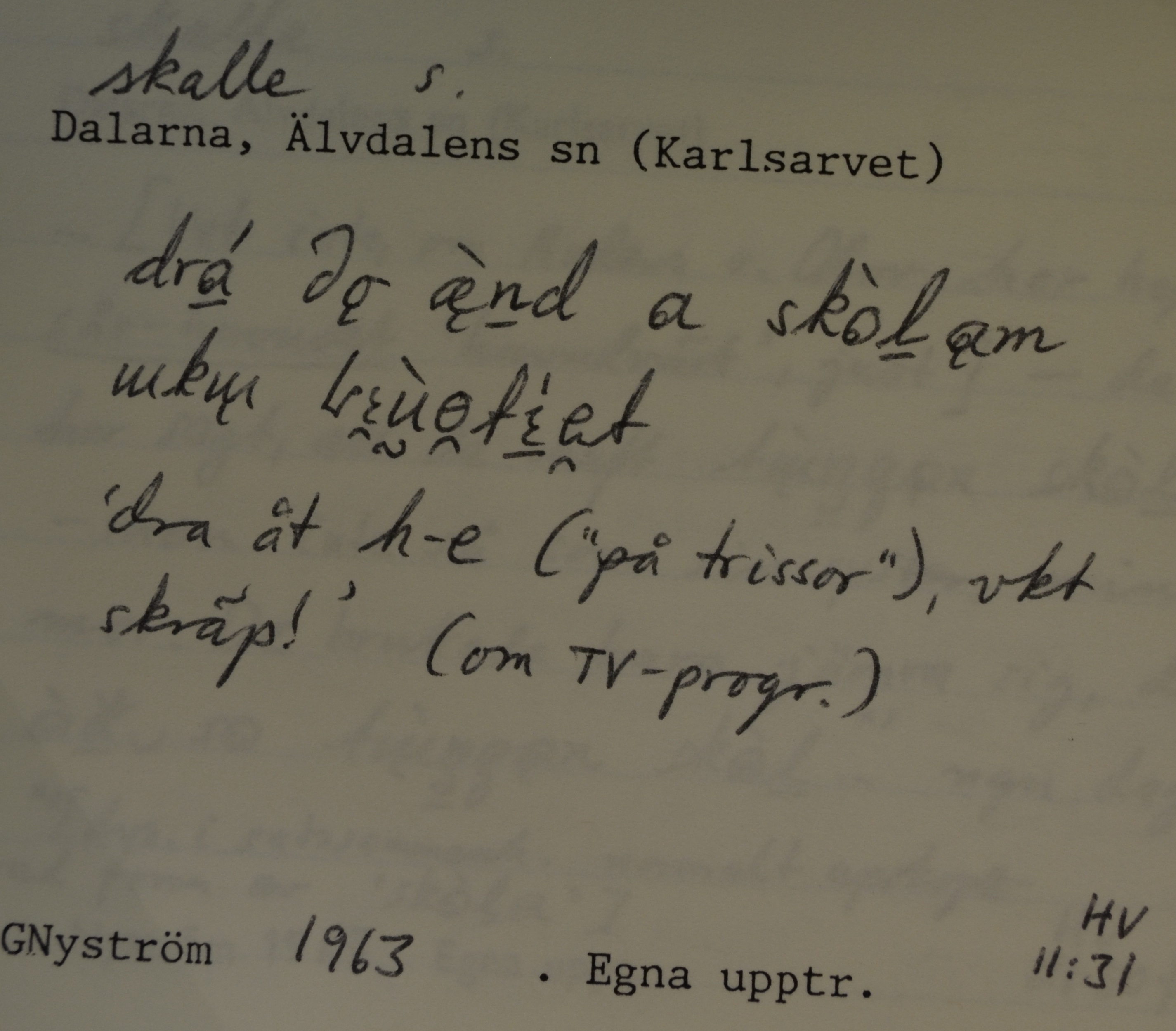 skalle_00019