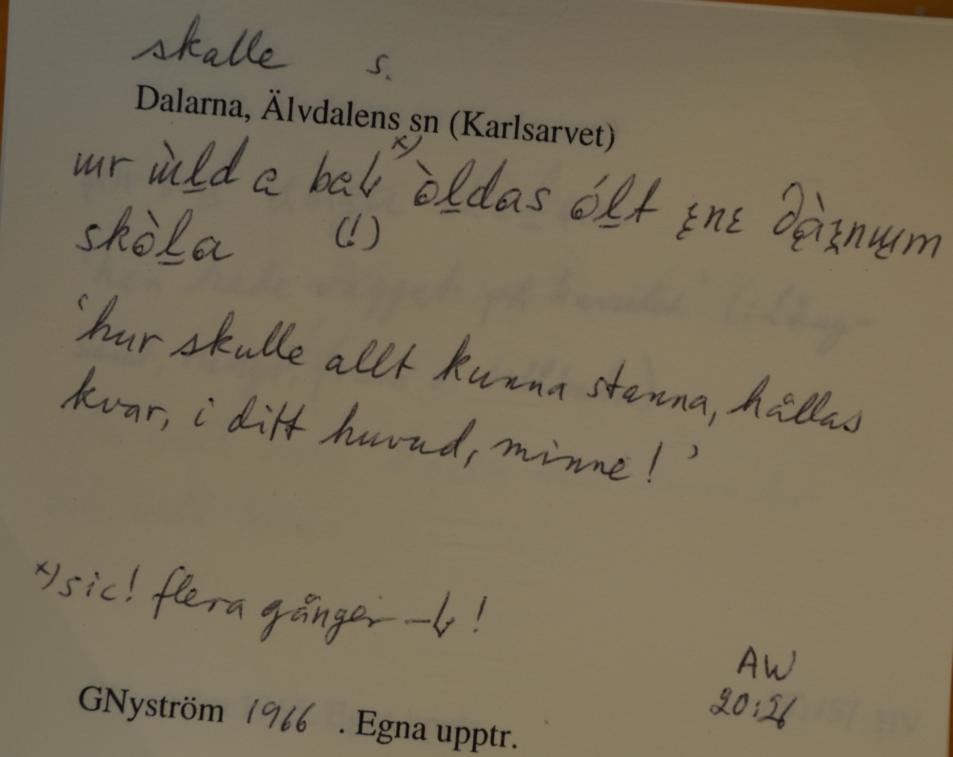 skalle_00023