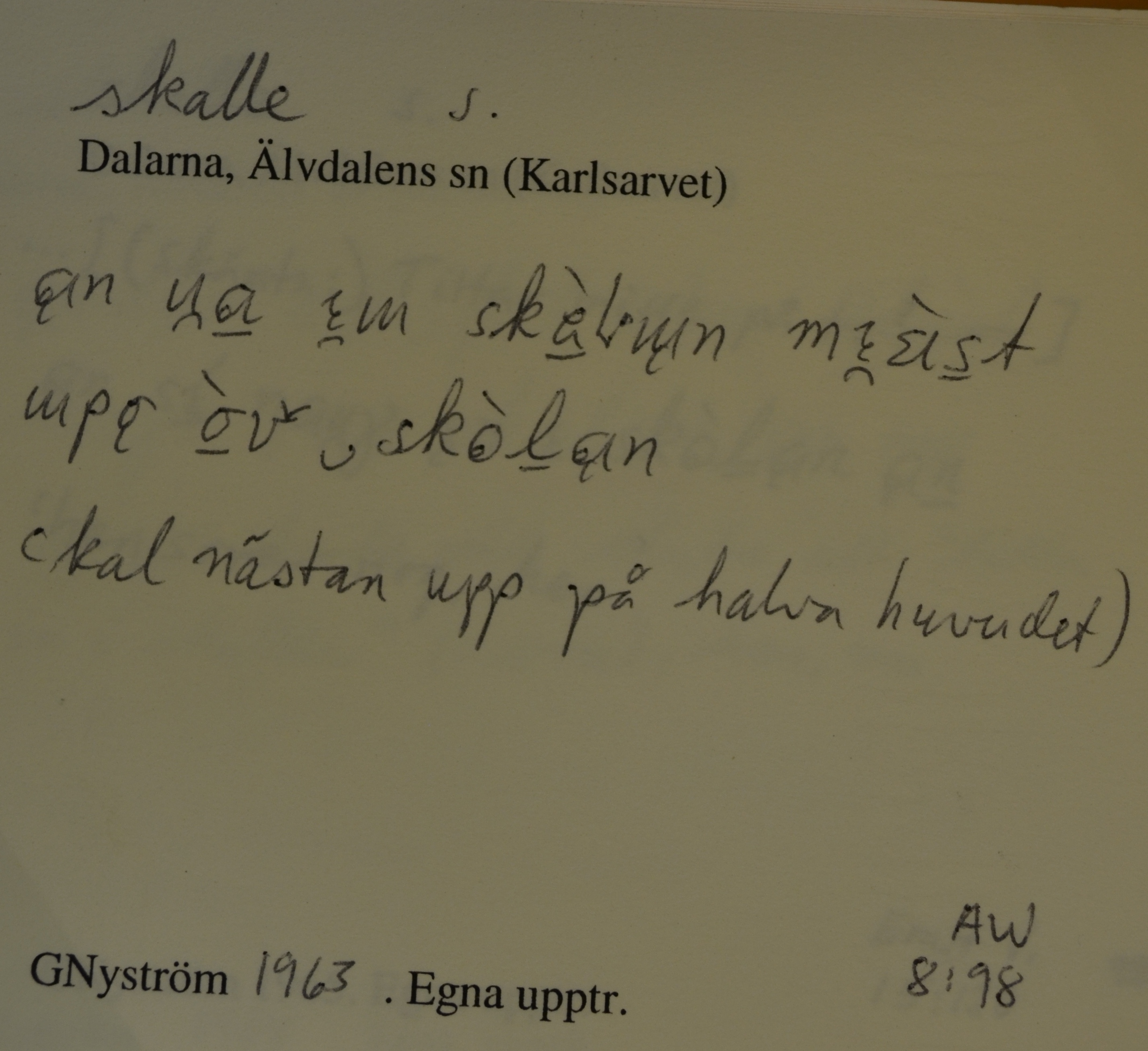 skalle_00025