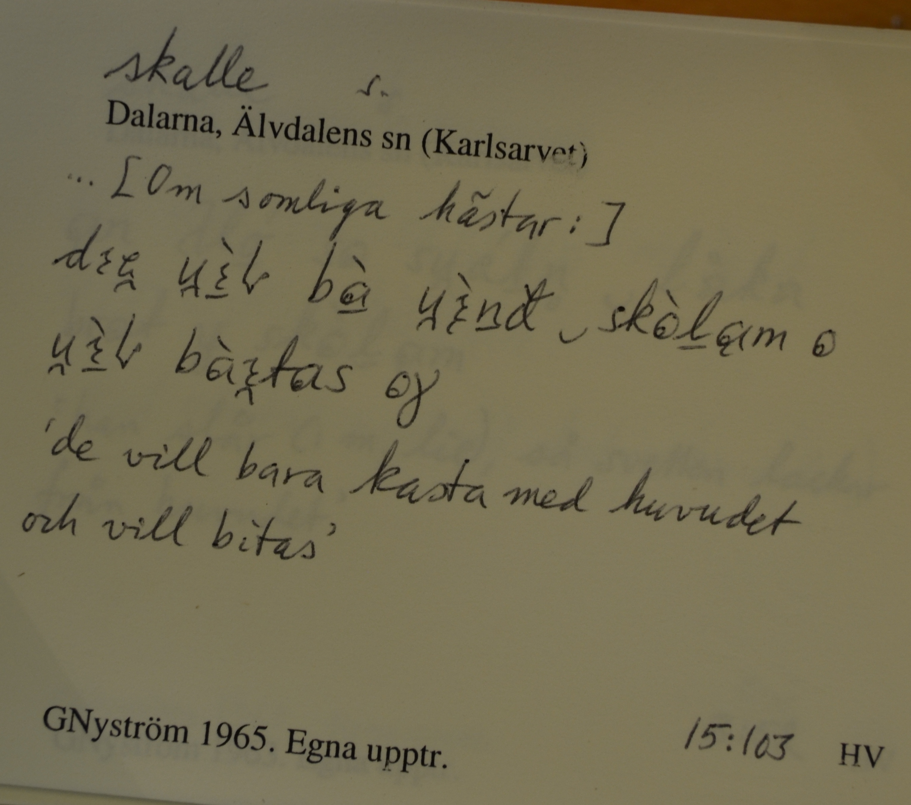 skalle_00026