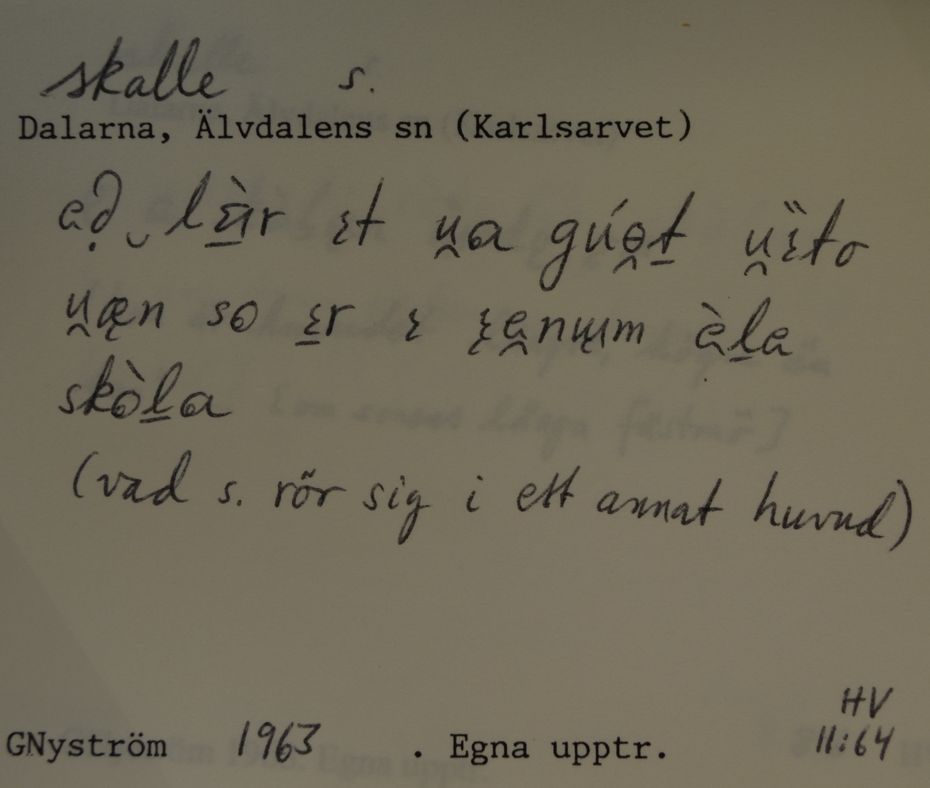 skalle_00055