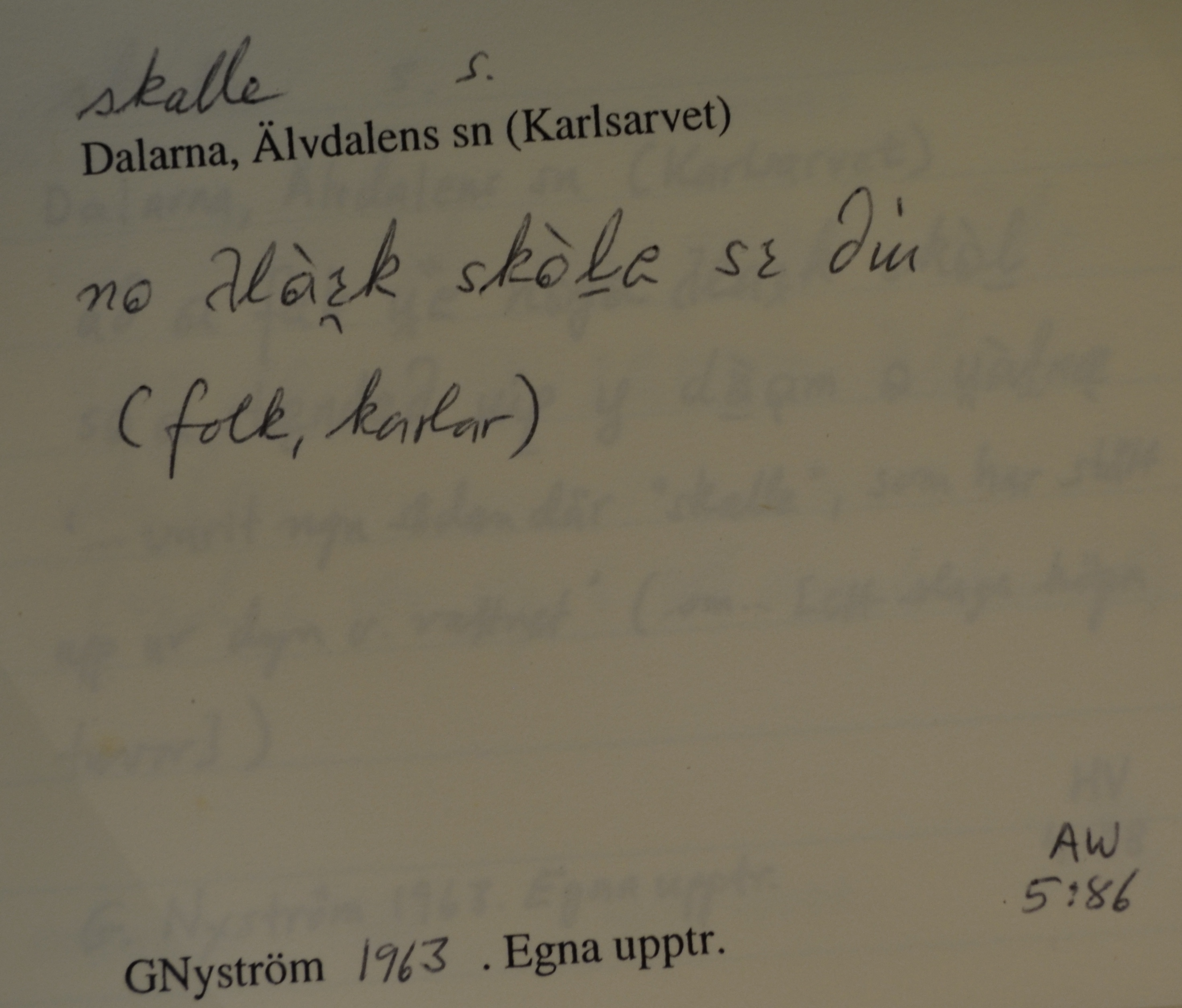 skalle_00058