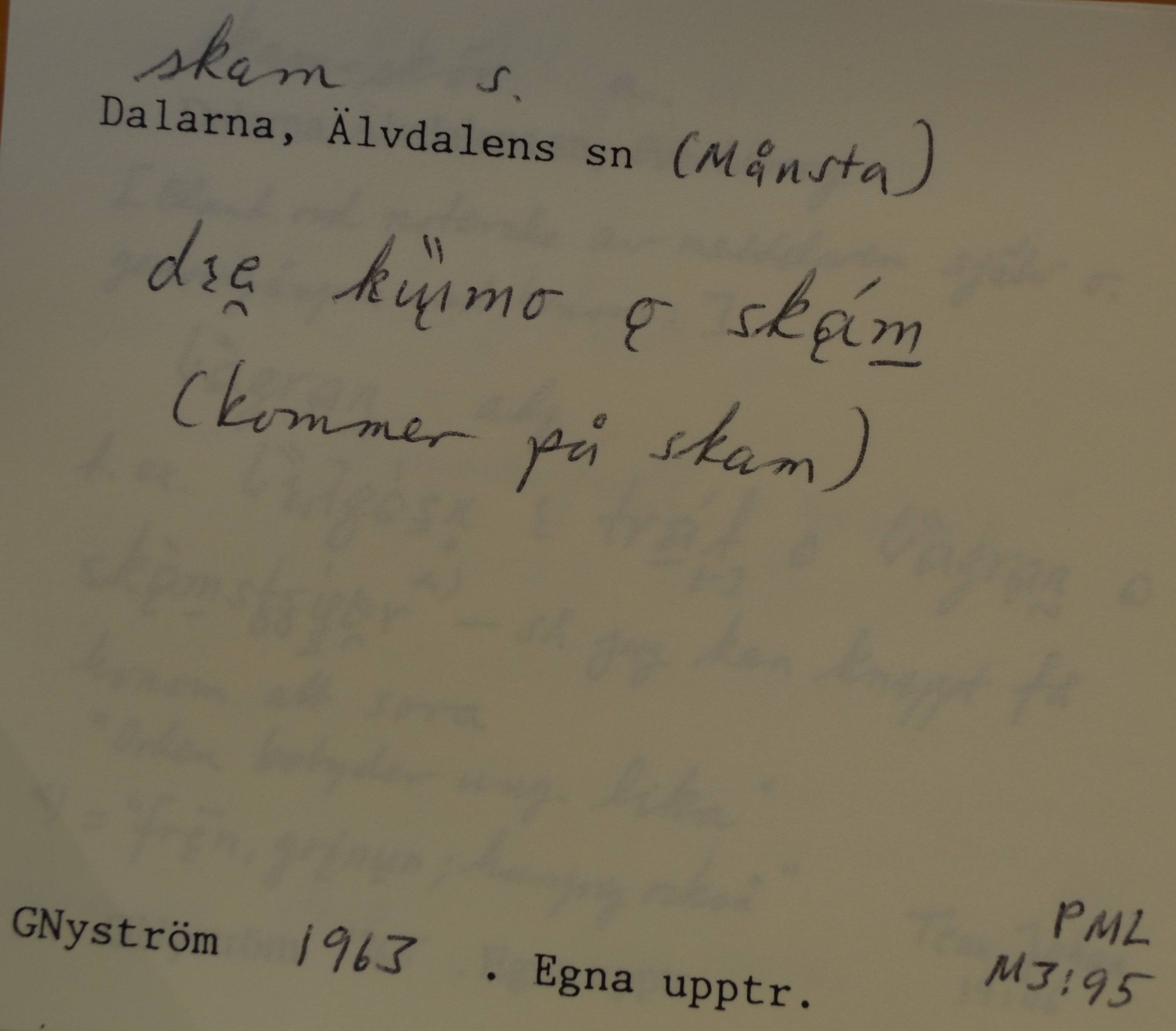 skam_1