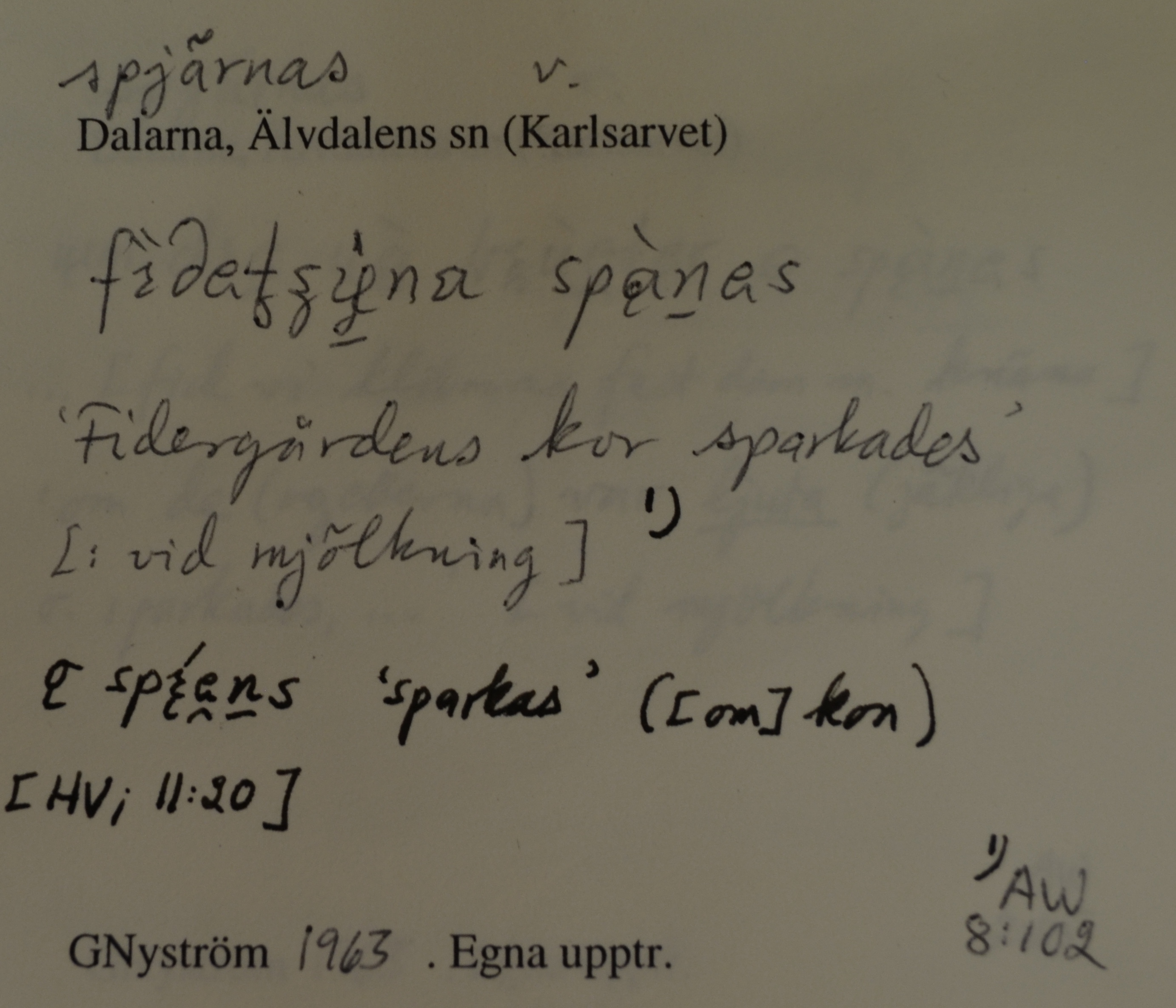 spjärnas_7