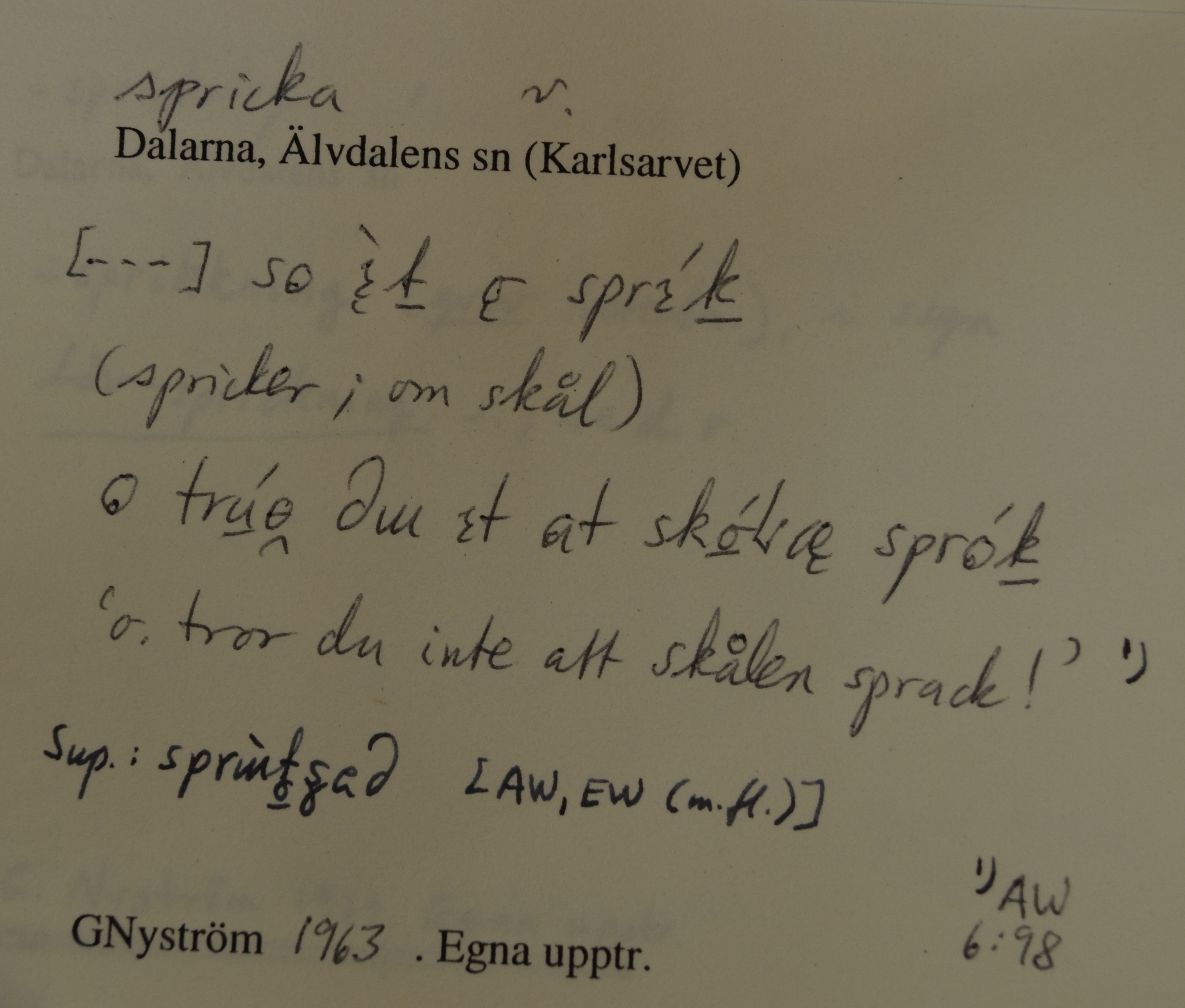 spricka_1