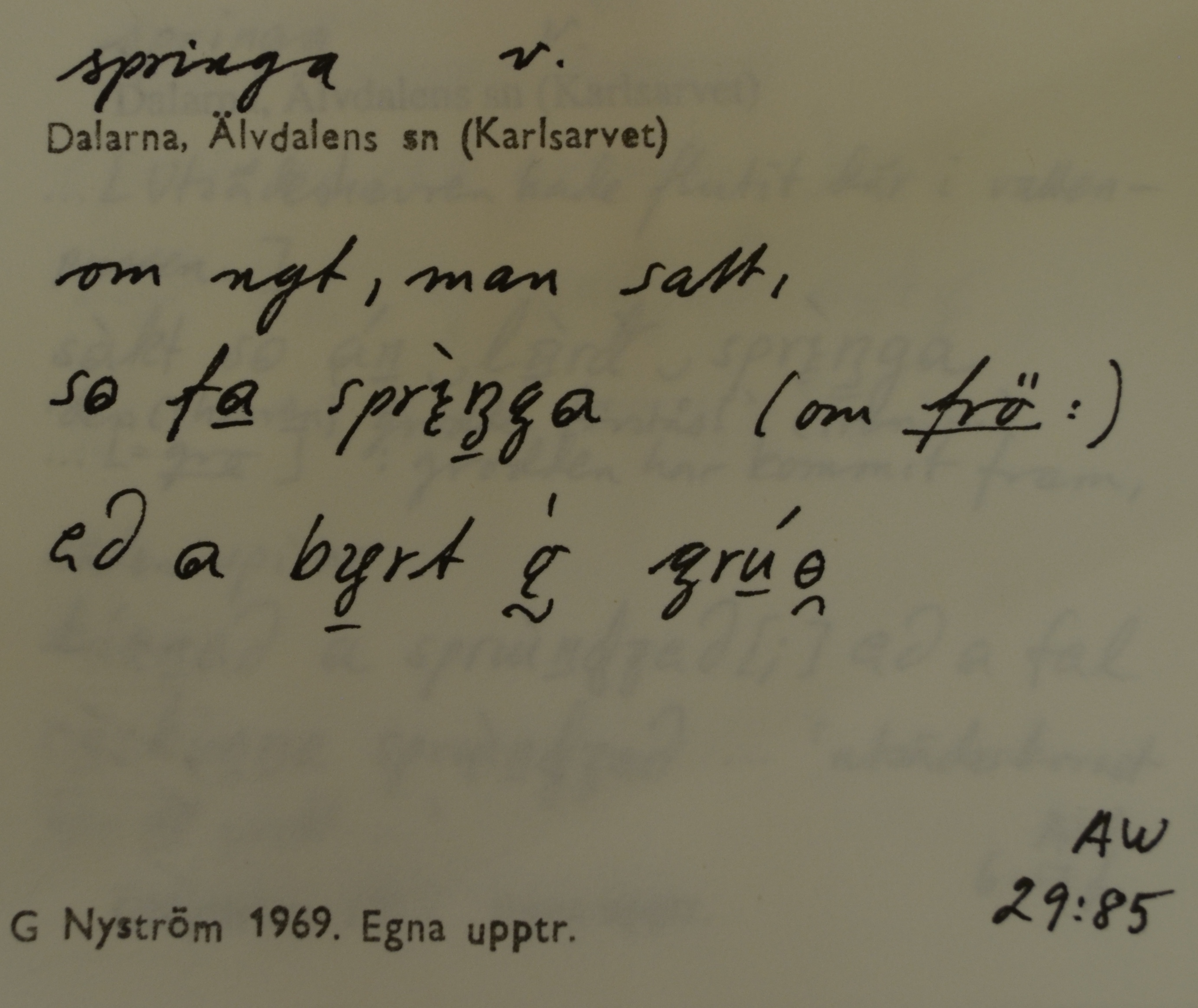 springa_3