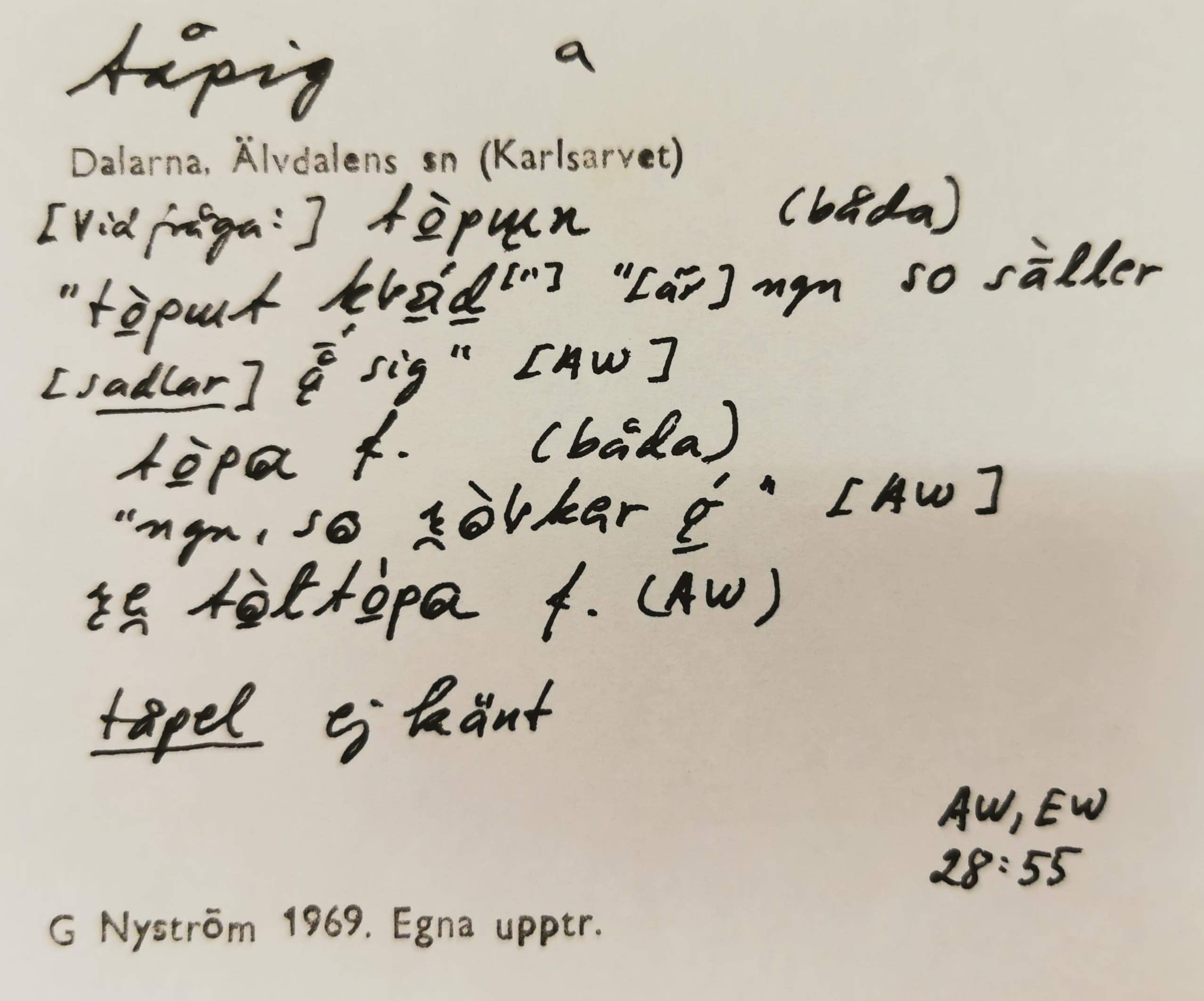 tåpig