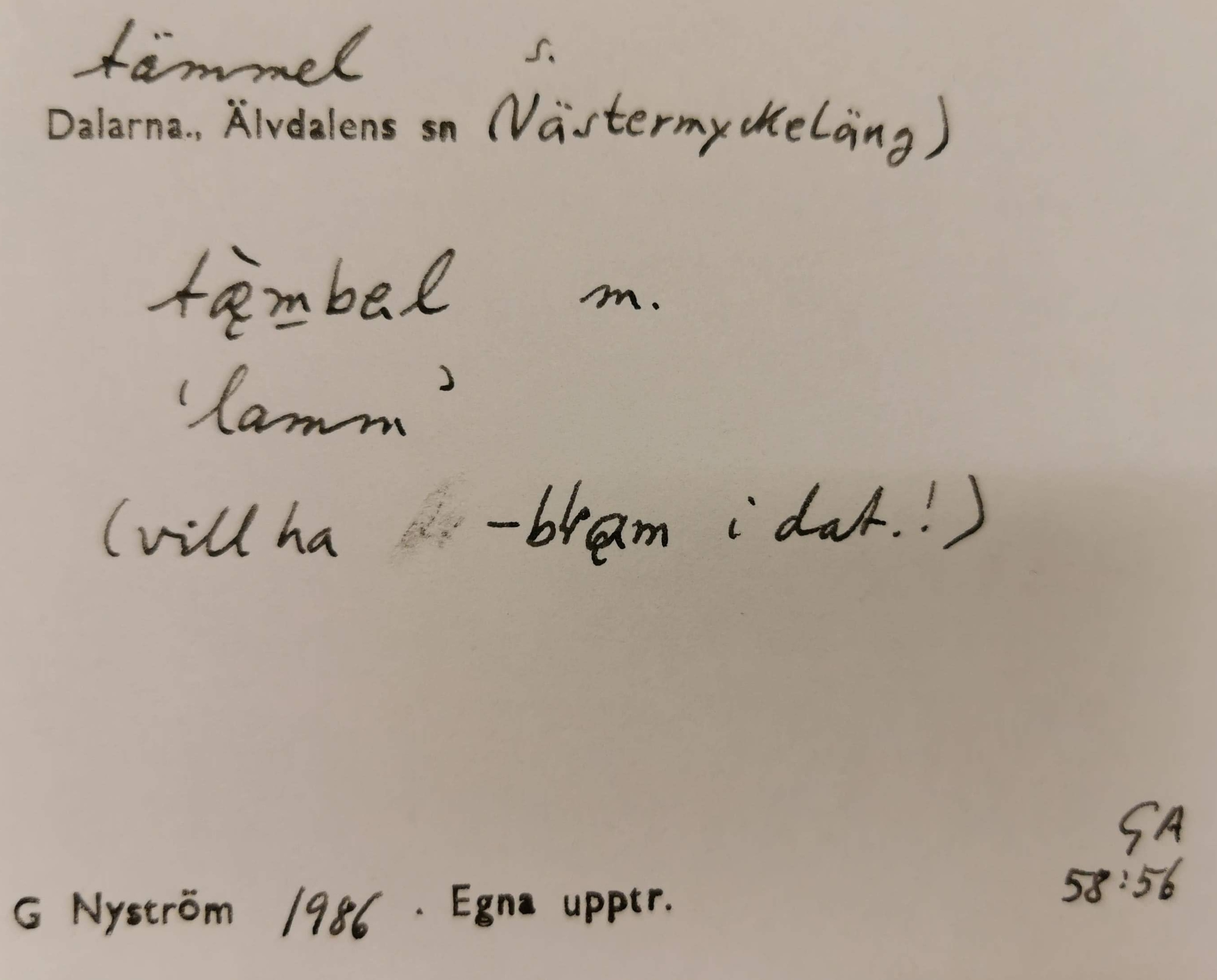 tämmel_1