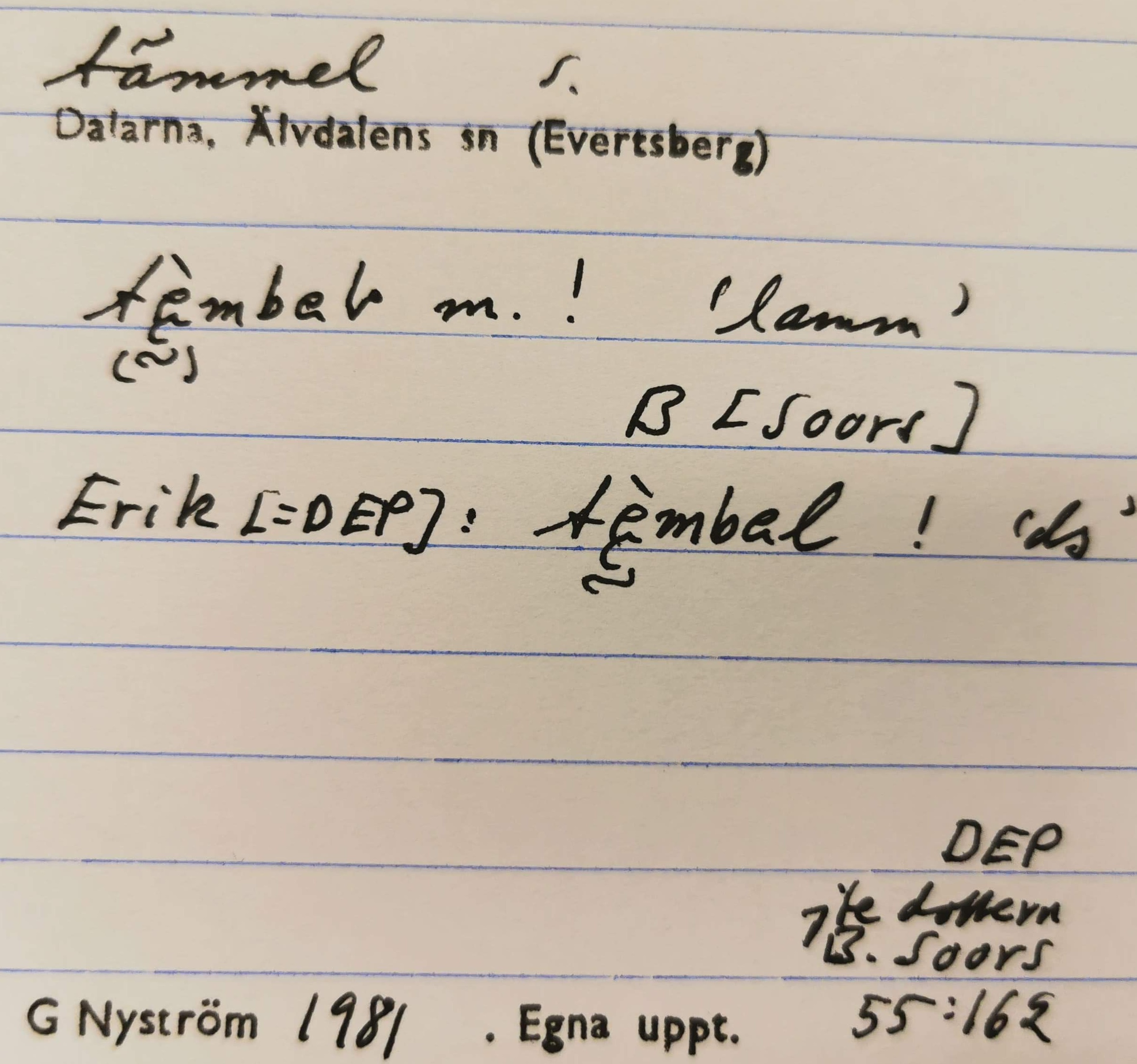 tämmel_10