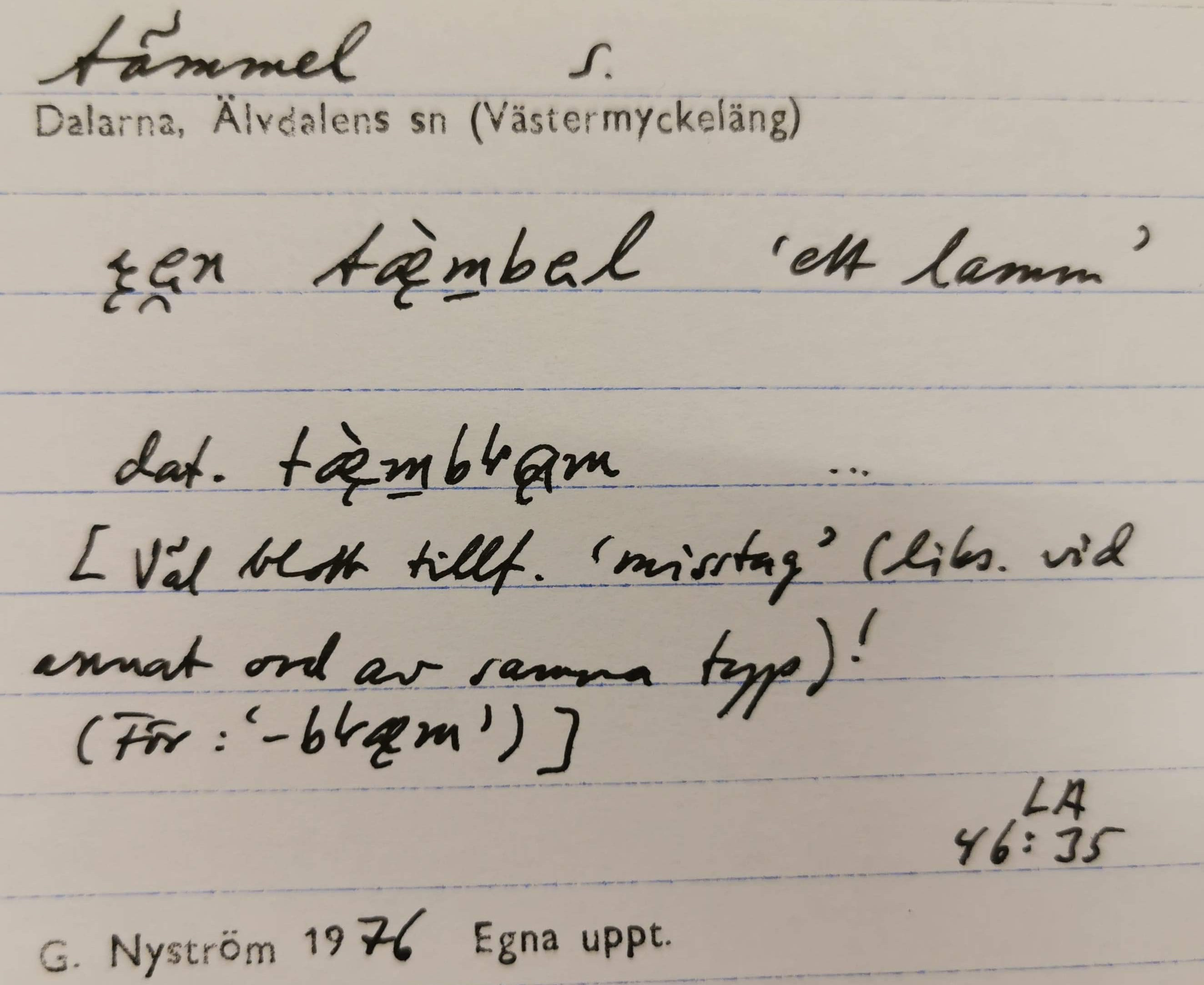 tämmel_11