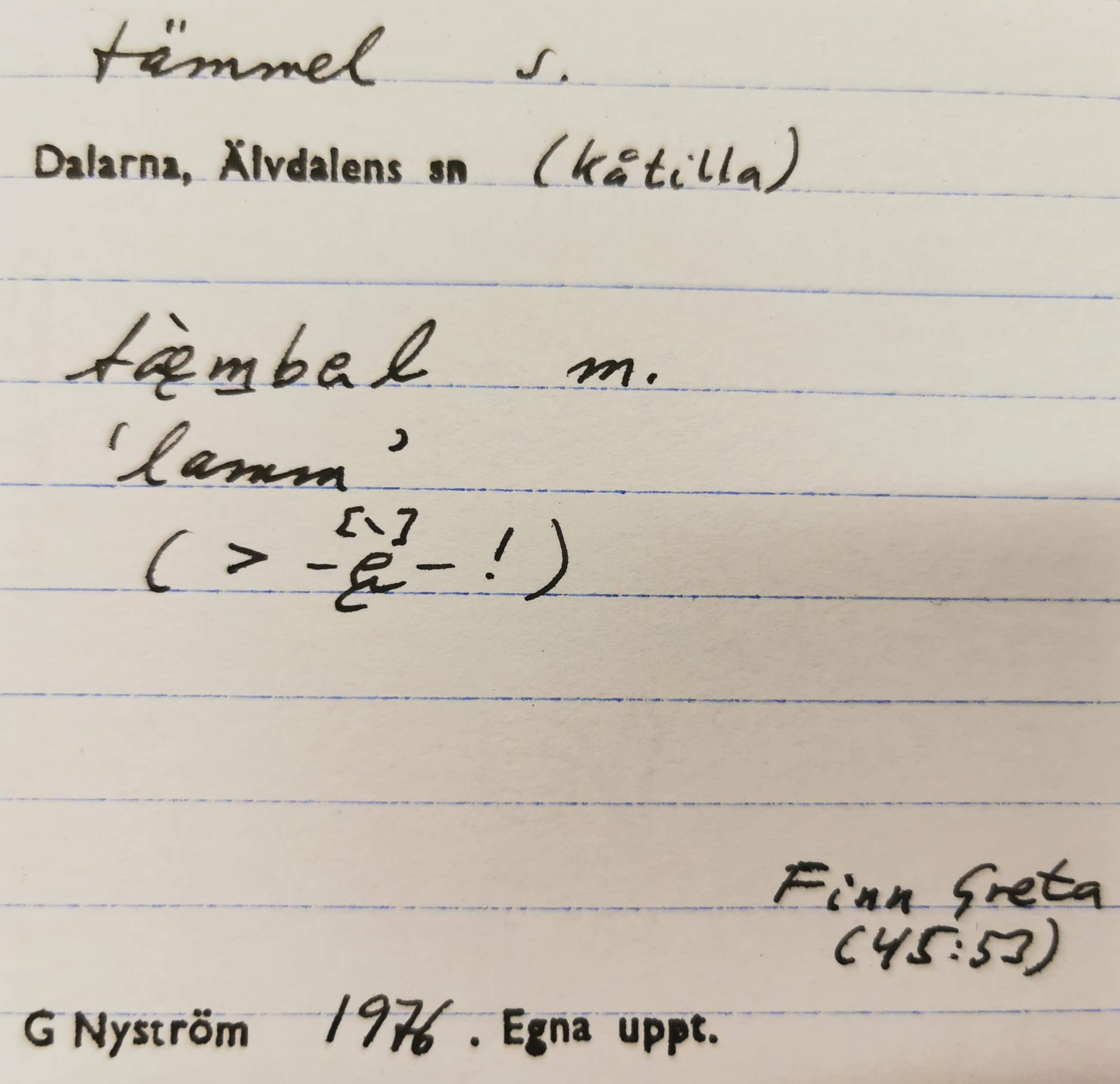tämmel_12