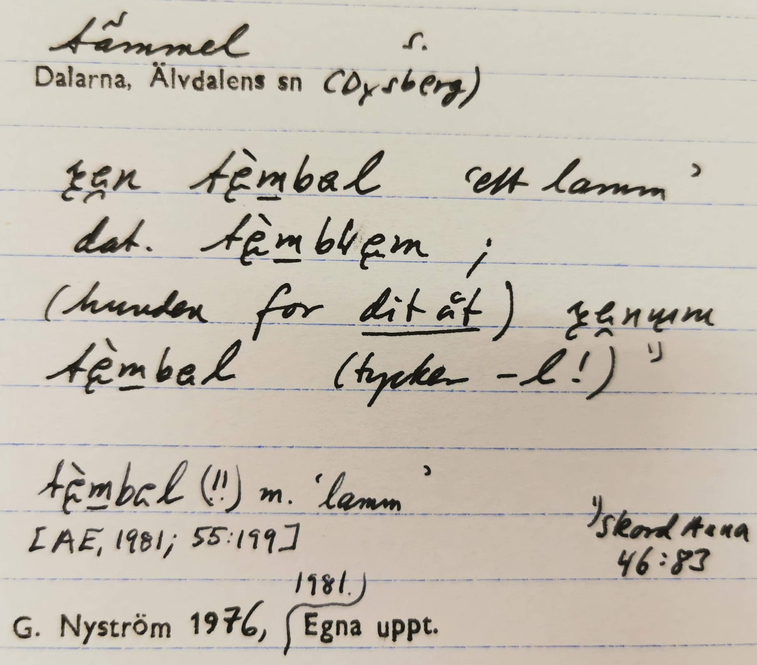 tämmel_13