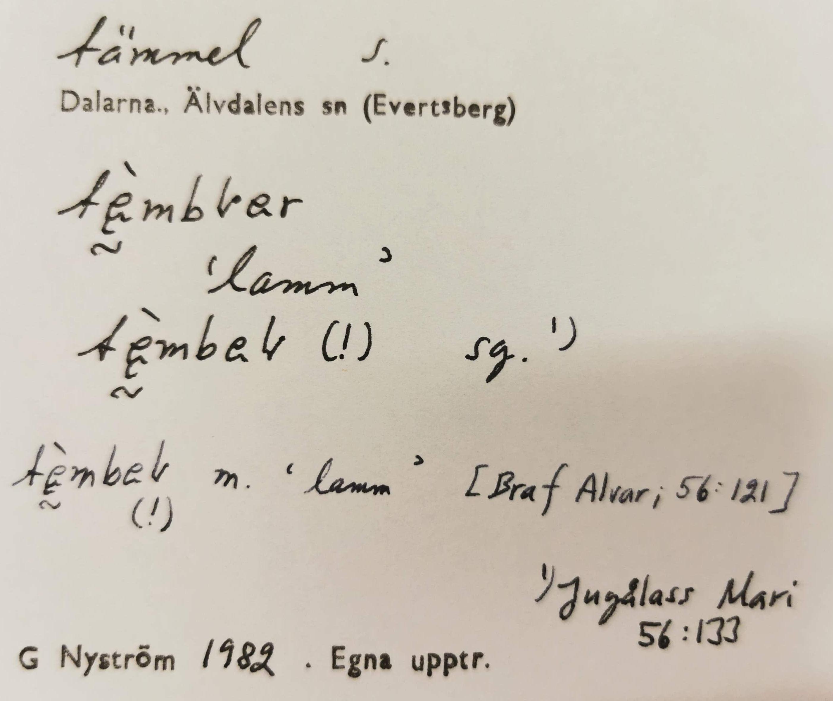 tämmel_15