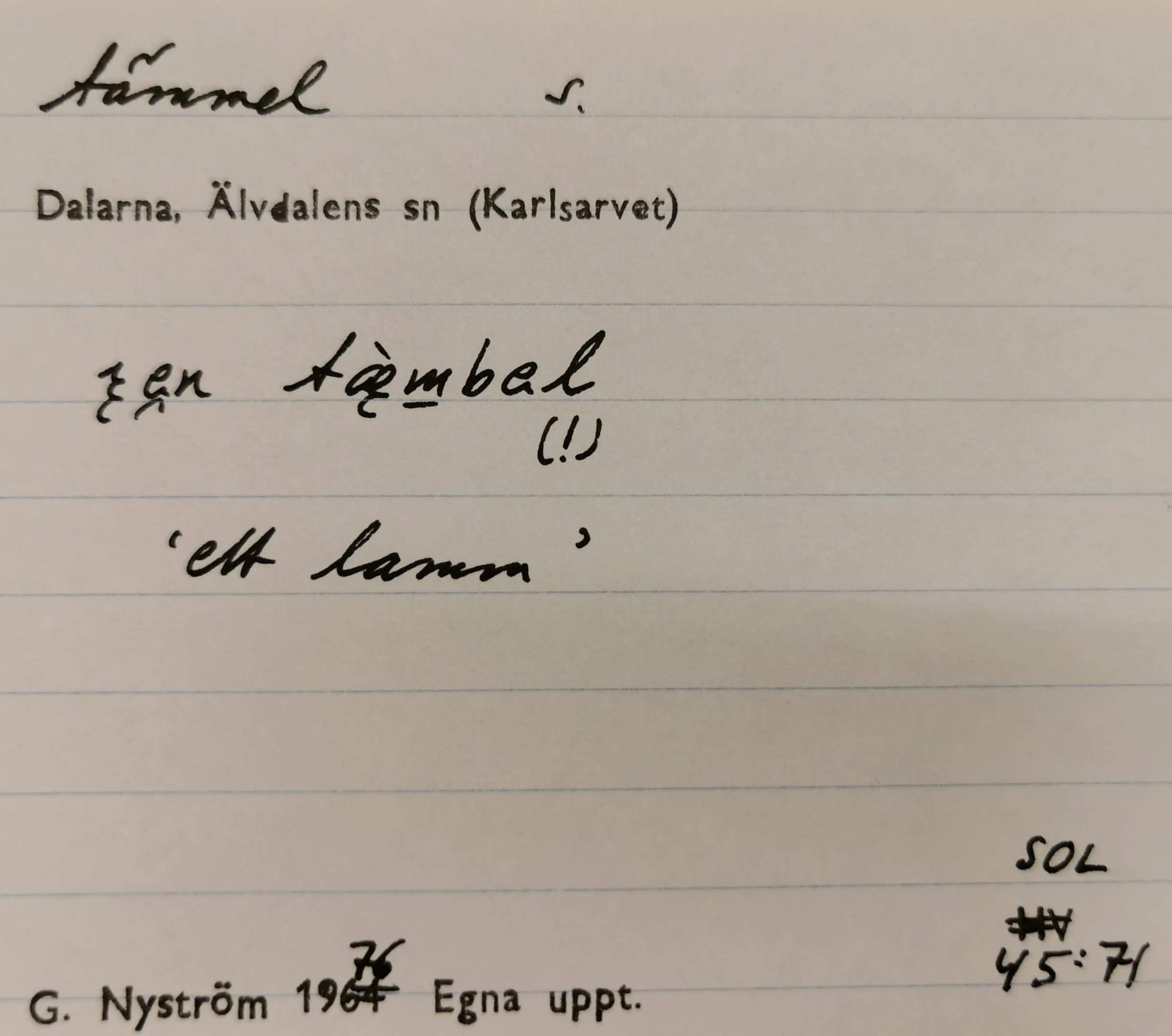 tämmel_16