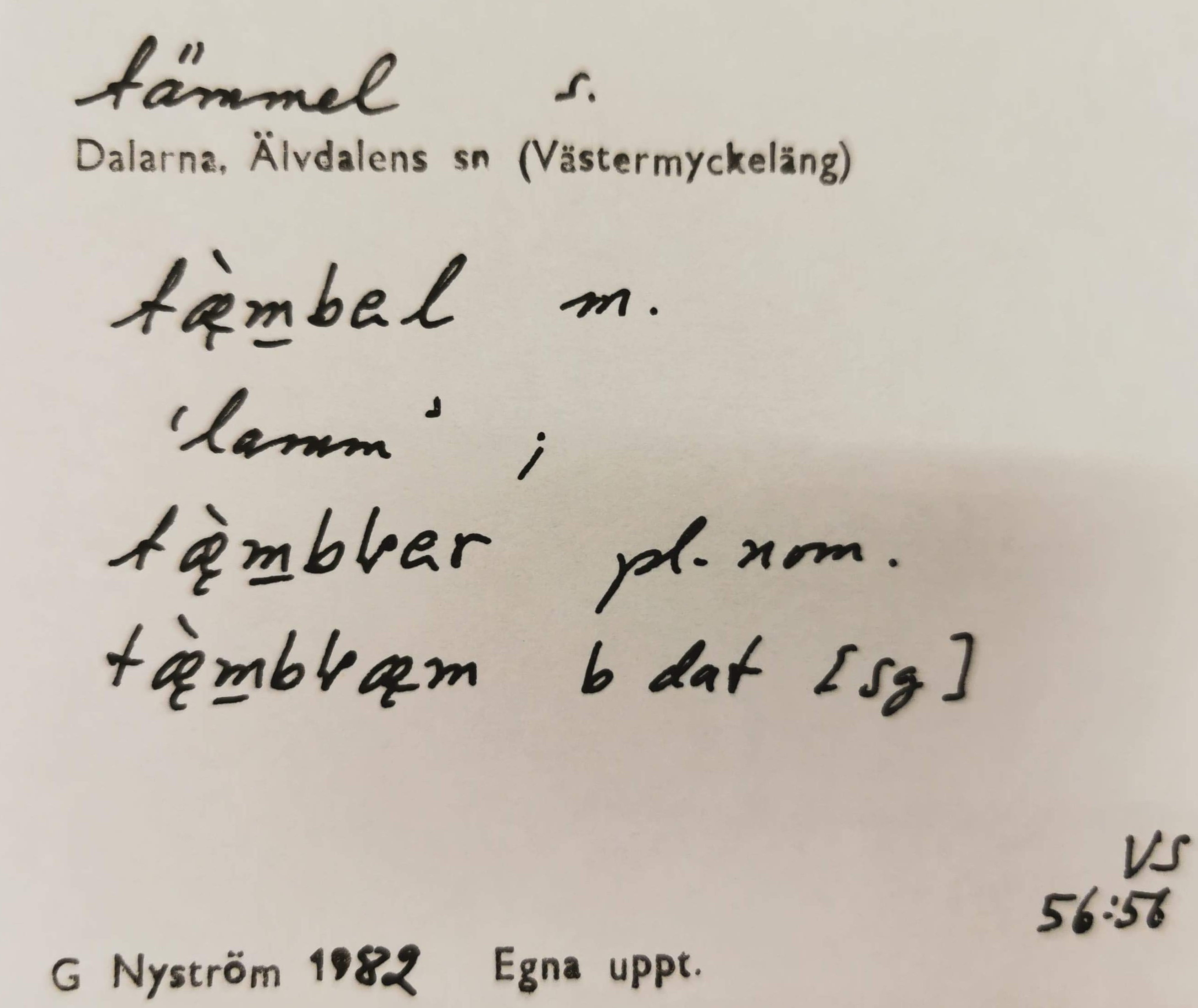tämmel_2