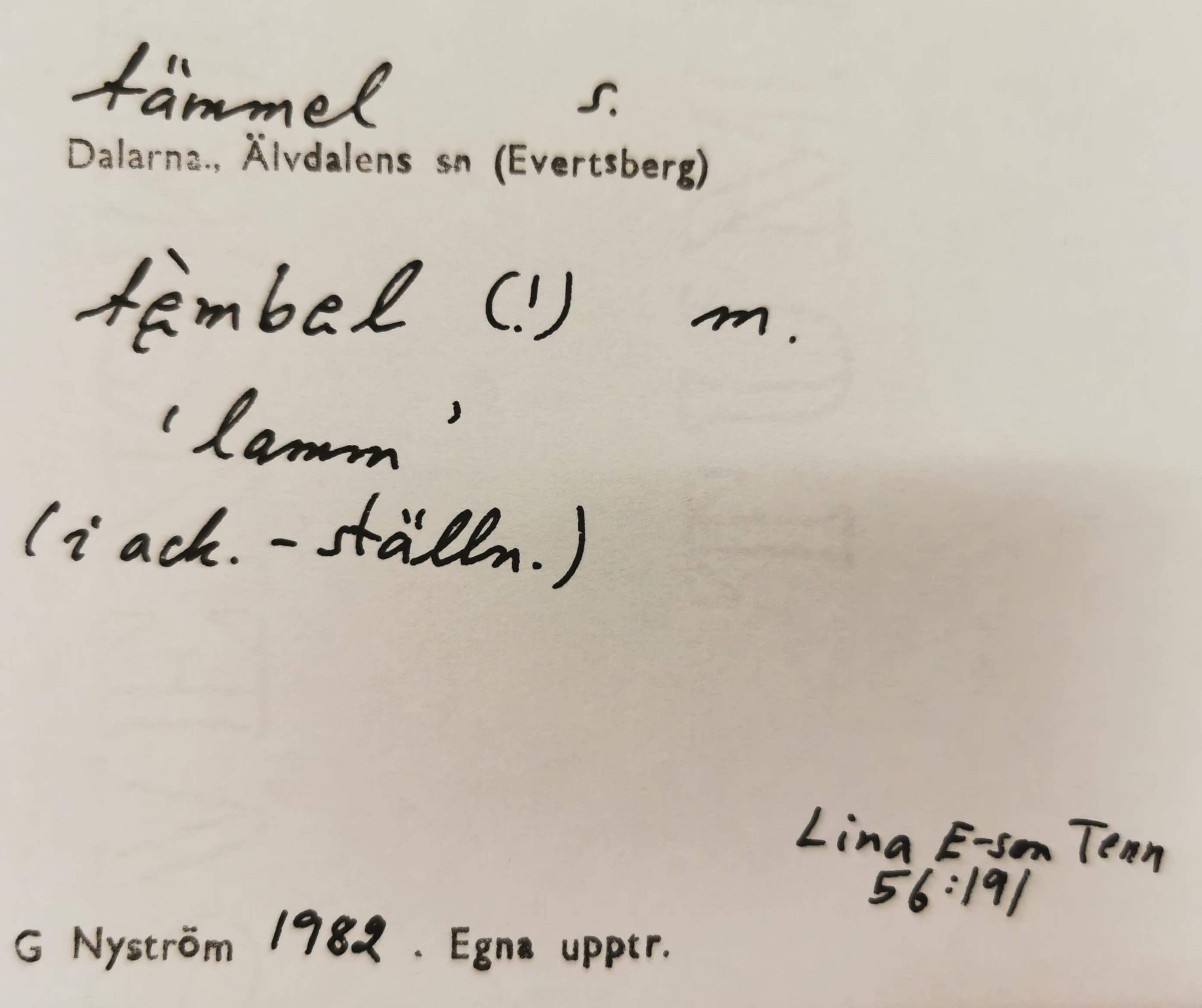 tämmel_3