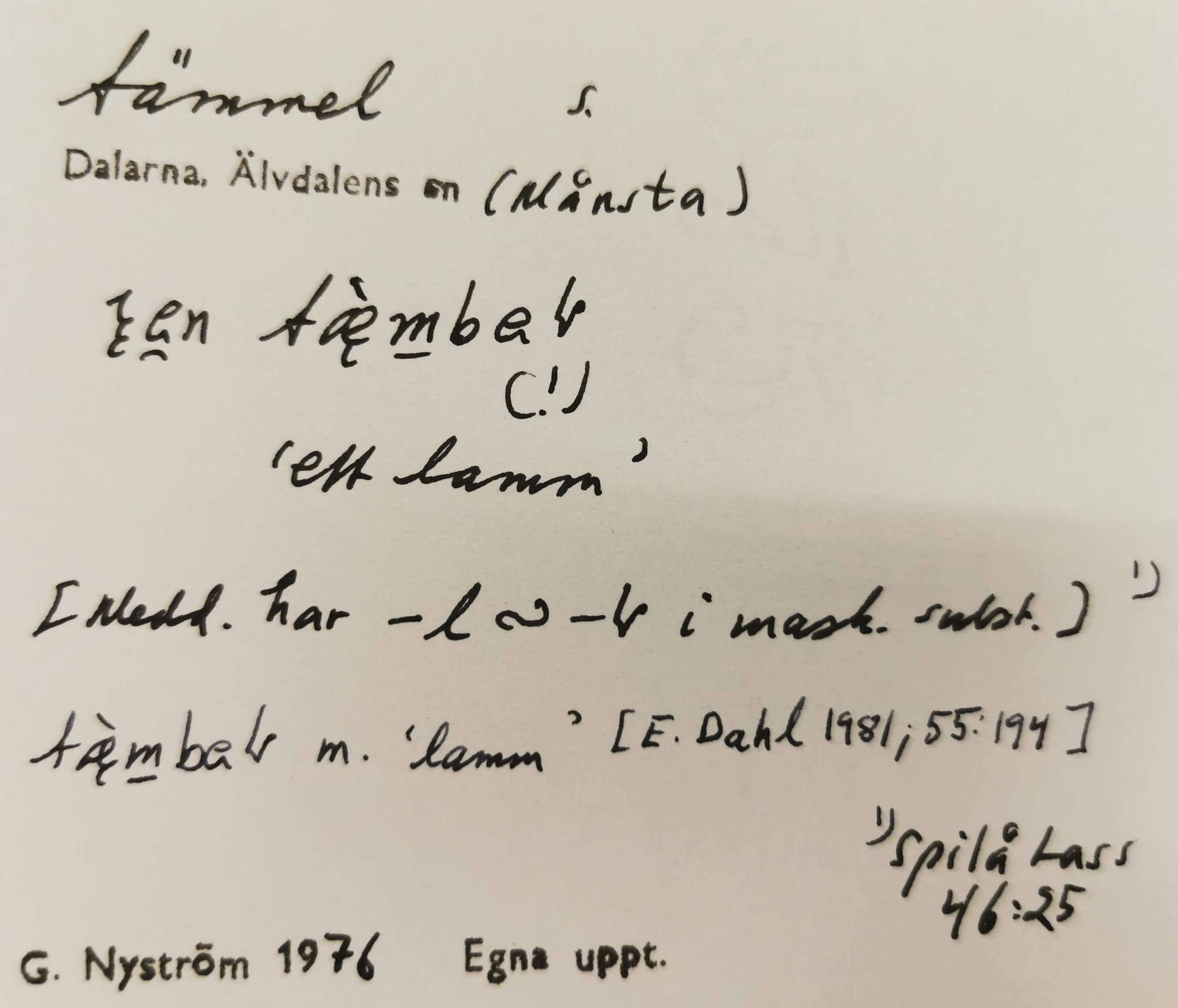 tämmel_4