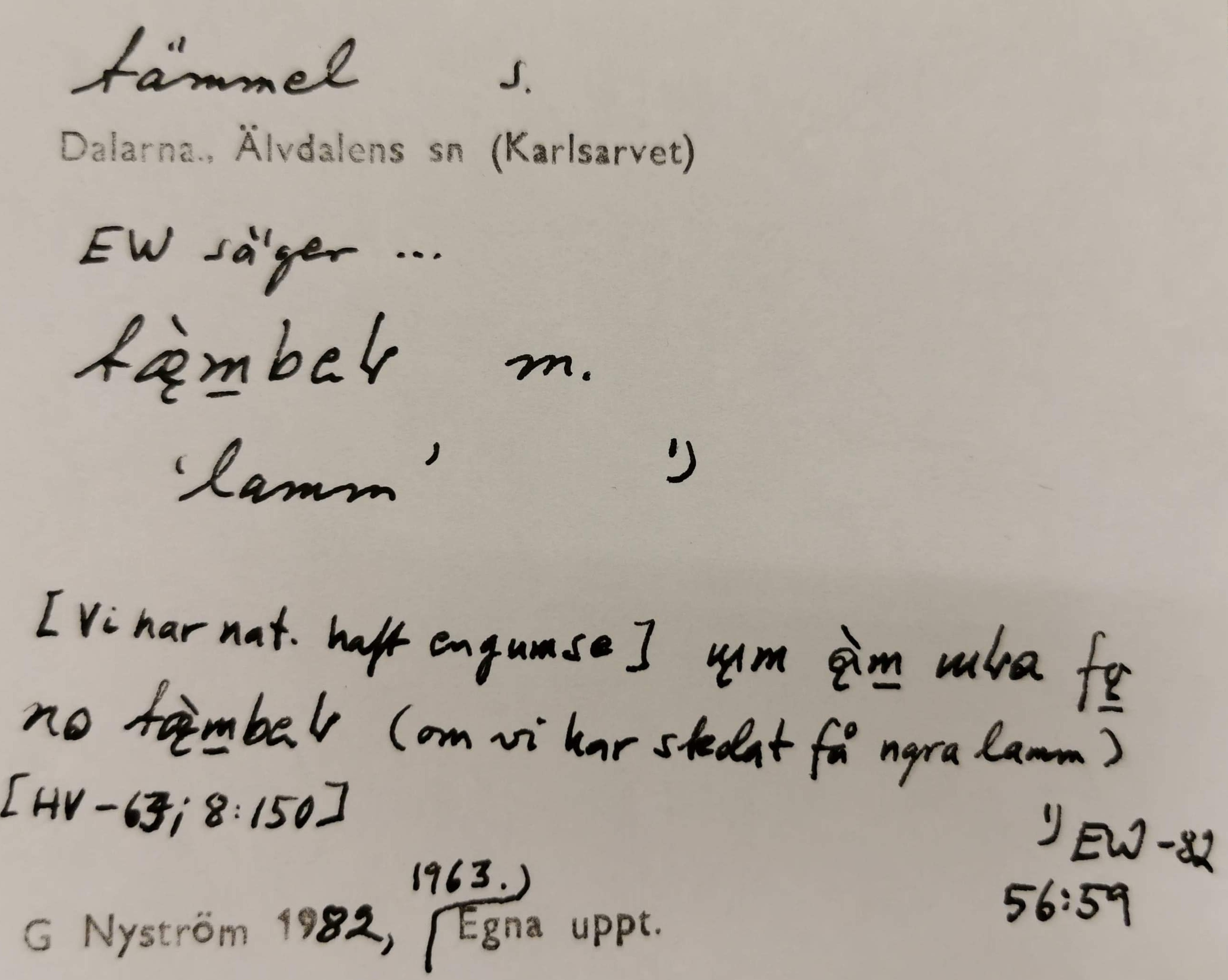 tämmel_6