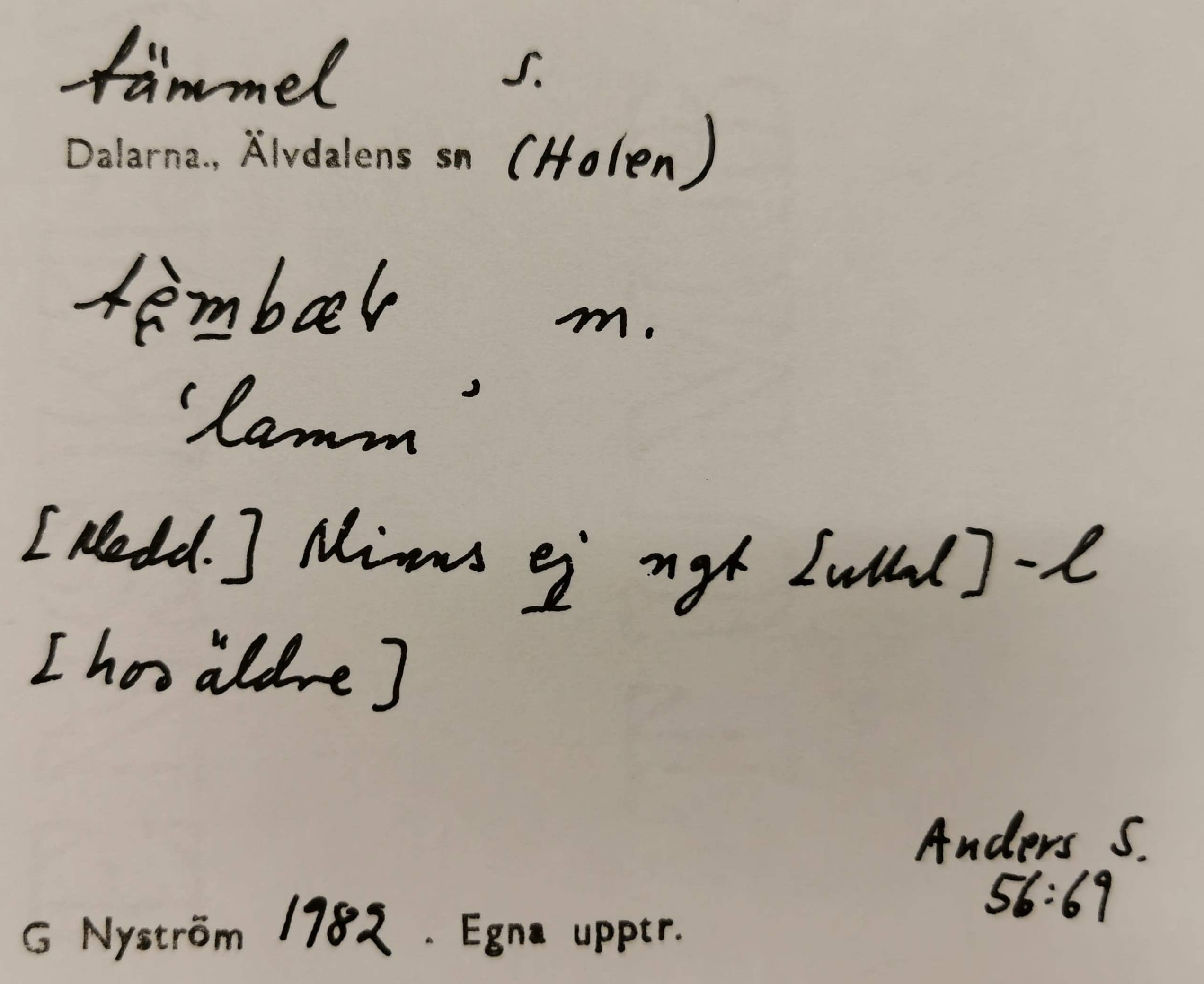 tämmel_8
